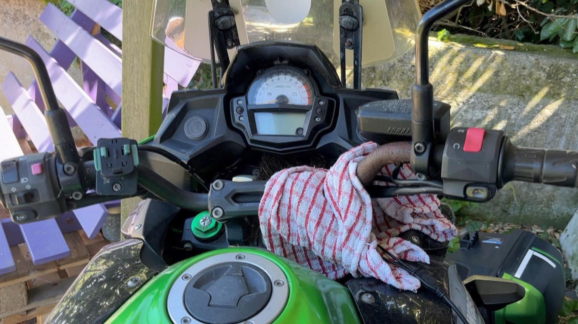 A robin nesting in the chassis of a green motorbike, with a tea towel wrapped around the handlebar.