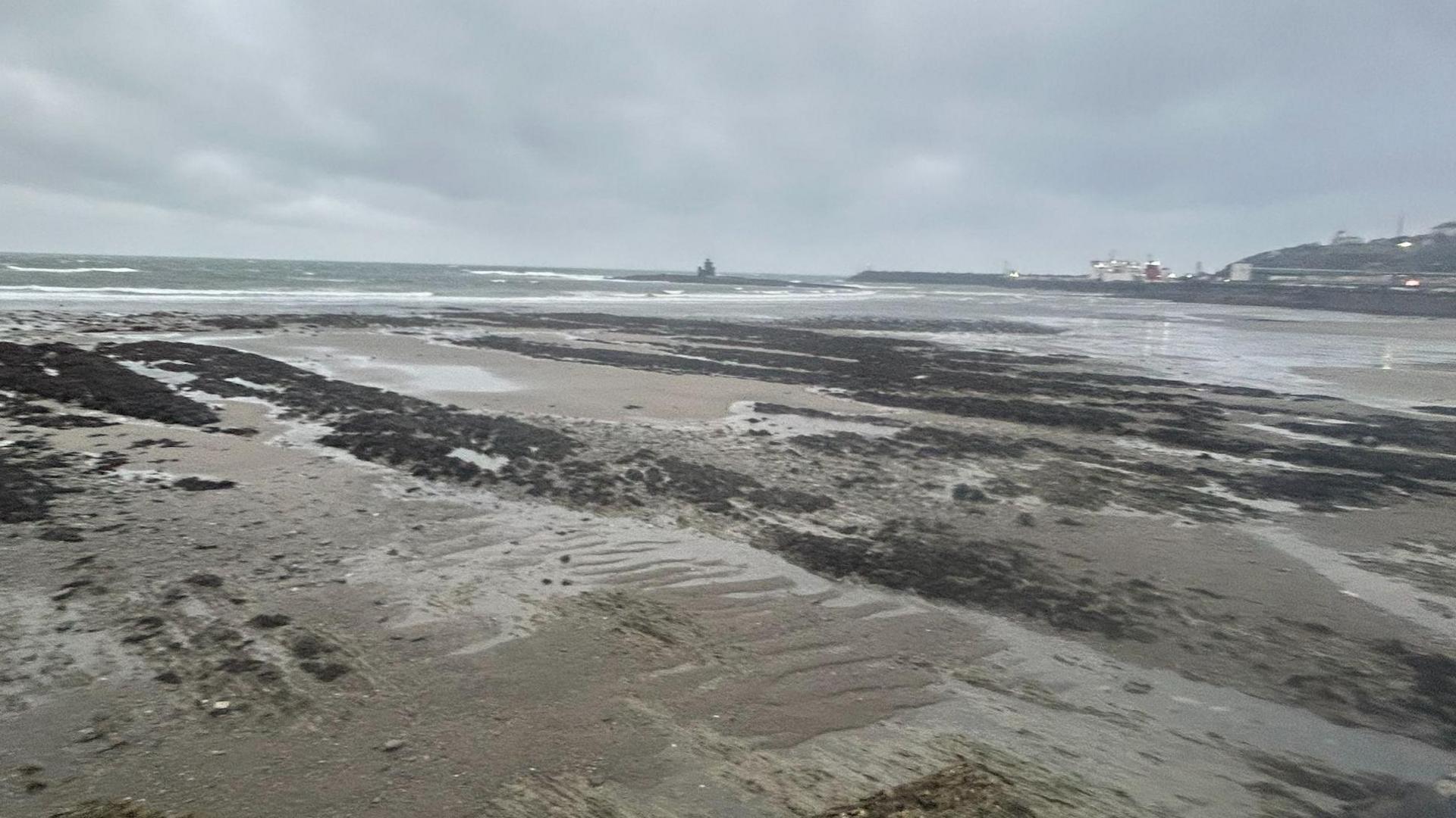 The tide out on a large beach on a cloudy day