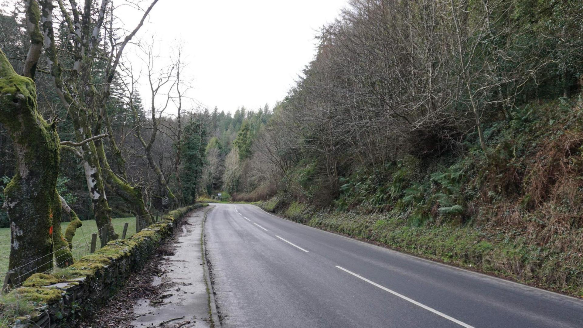 A3 road at Glen Helen