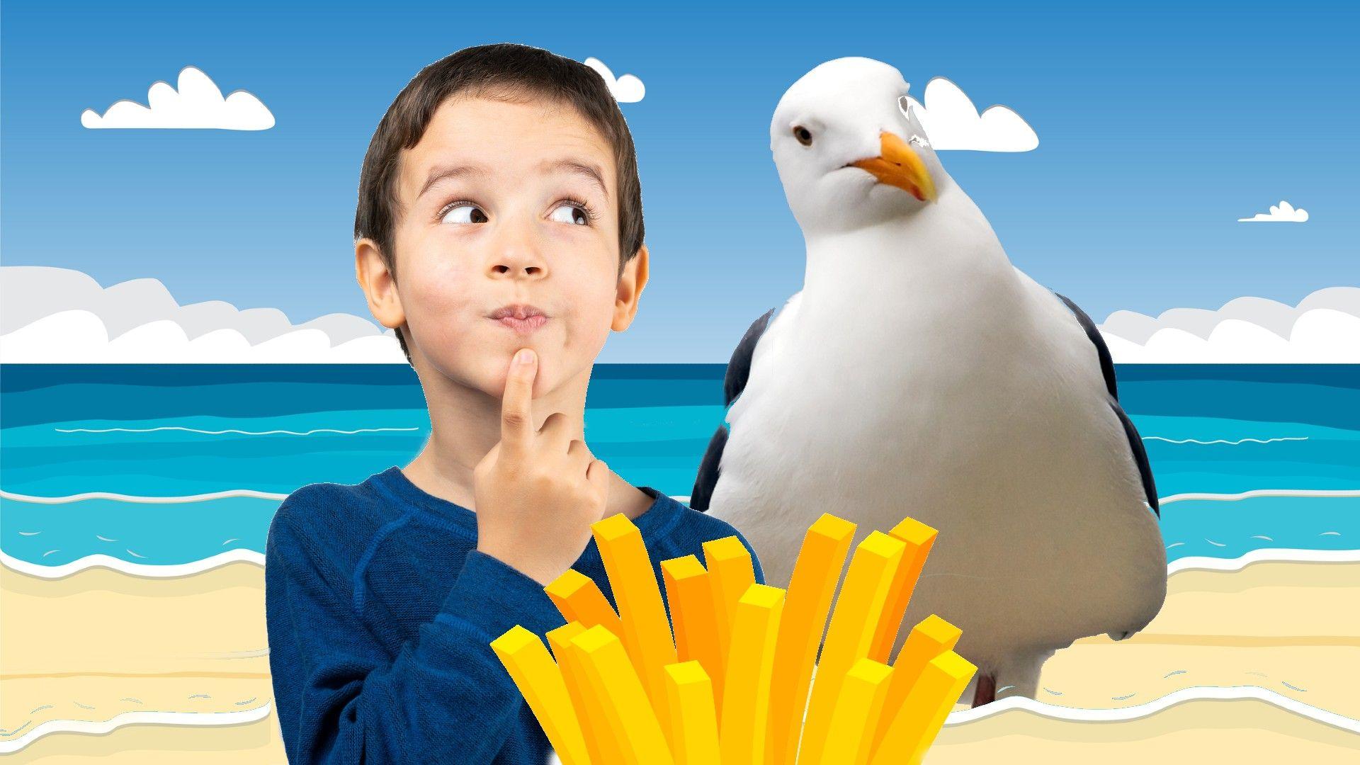 boy and seagull at beach with chips.