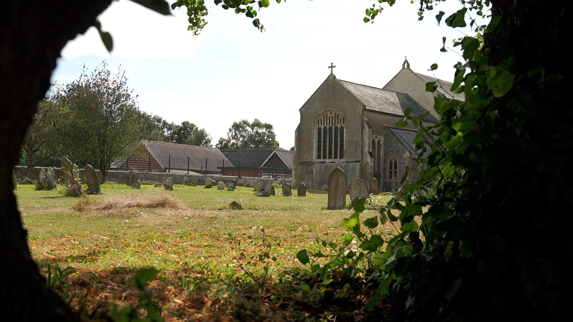 St Mary the Virgin church in Bacton. The church is in the distance and only the east end is visible, with gravestones in the cemetery in the middle distance. The picture is framed by an ivy-clad tree on one side and a trunk on the other.