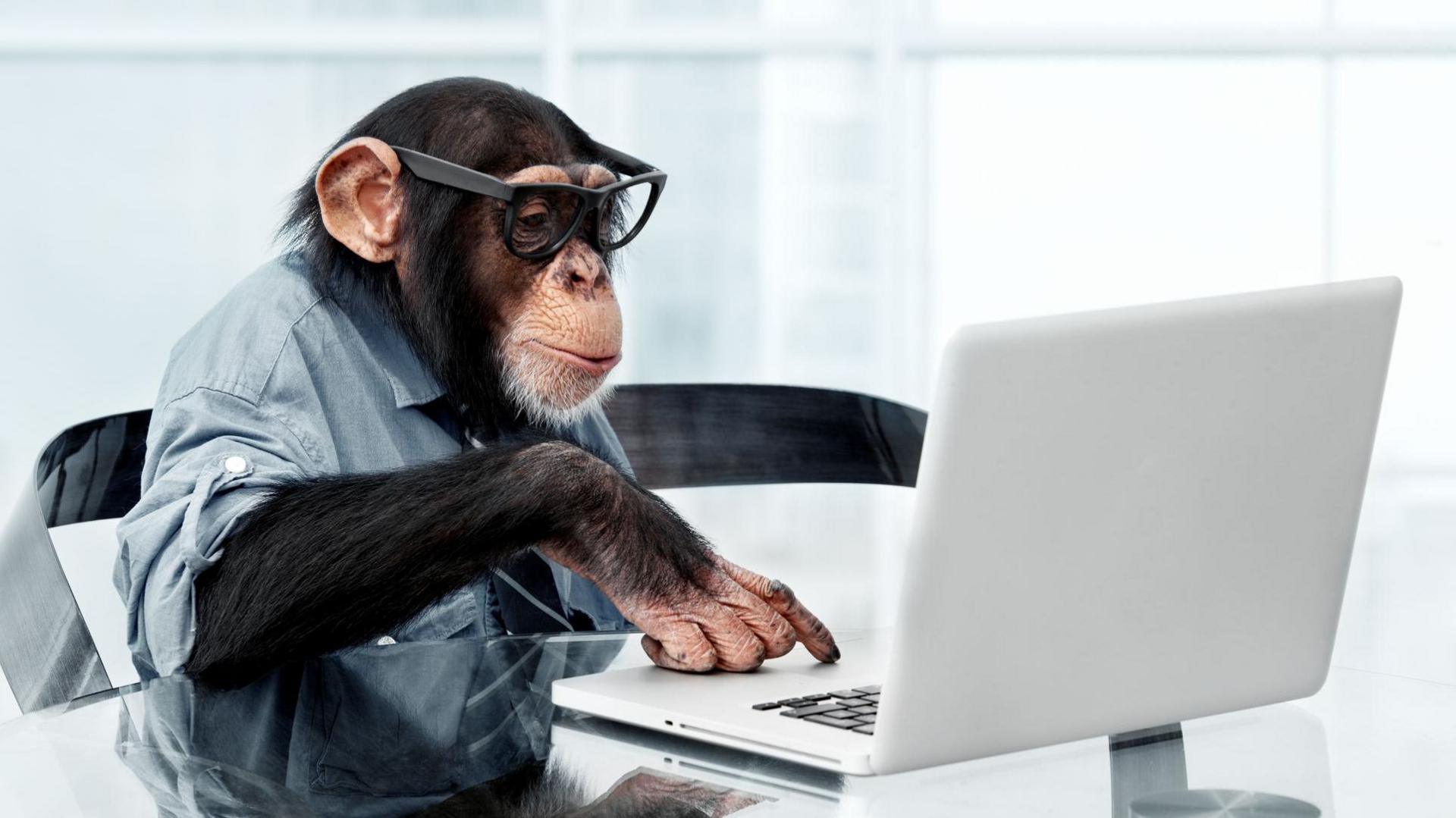 A monkey typing on a computer