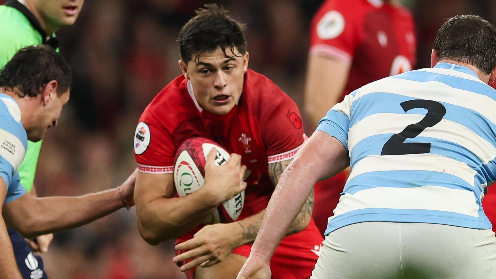 Louis Rees-Zammit attacks the Argentina defence