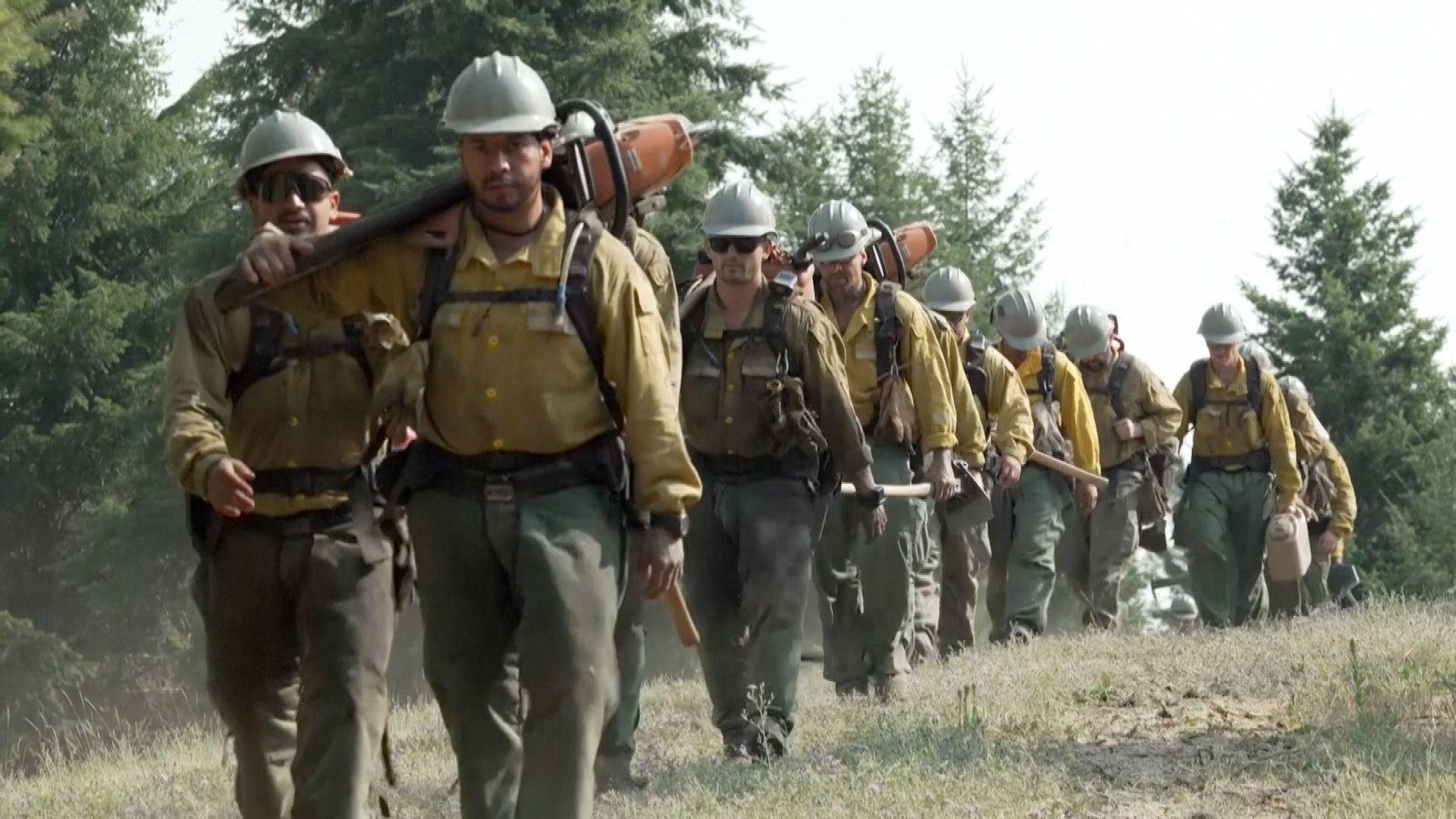 A line of men in firefighting gear walk through an opening in a forest towards the camera lens.