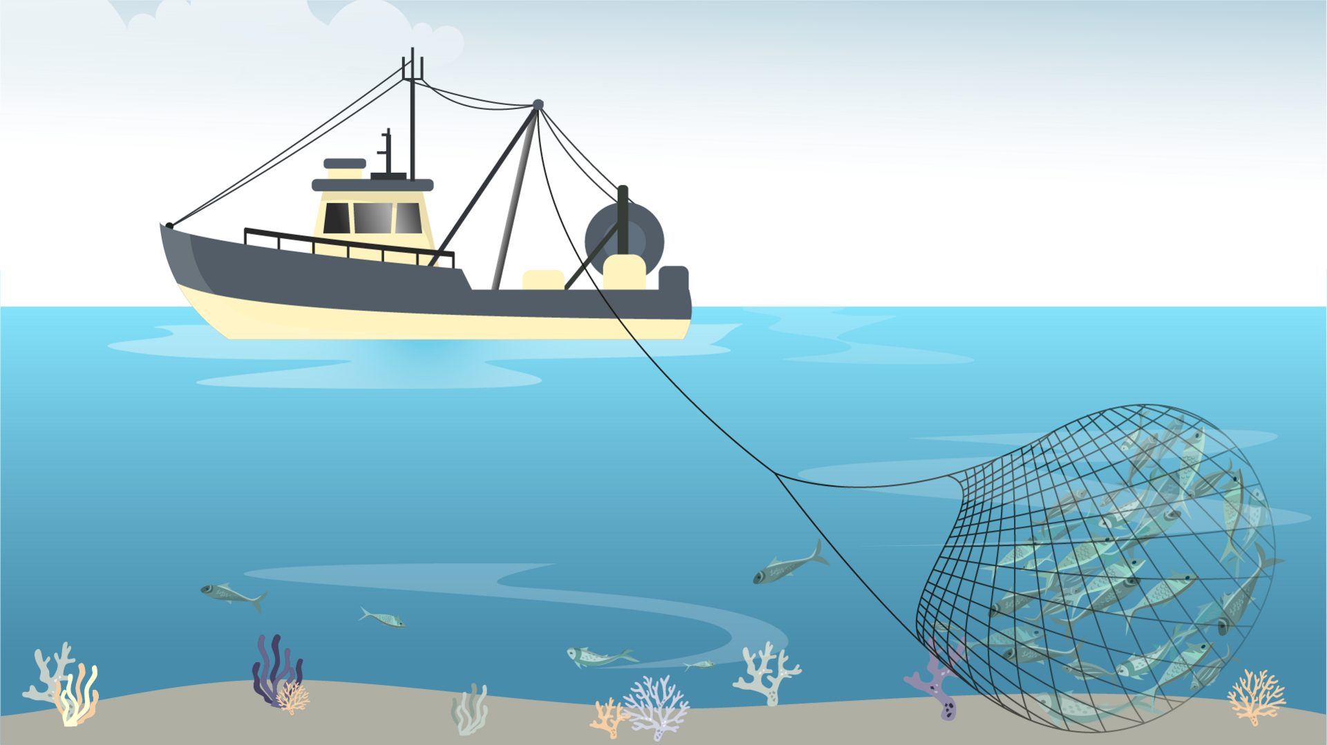 GFX of a ship with large net catching fish along the sea bed