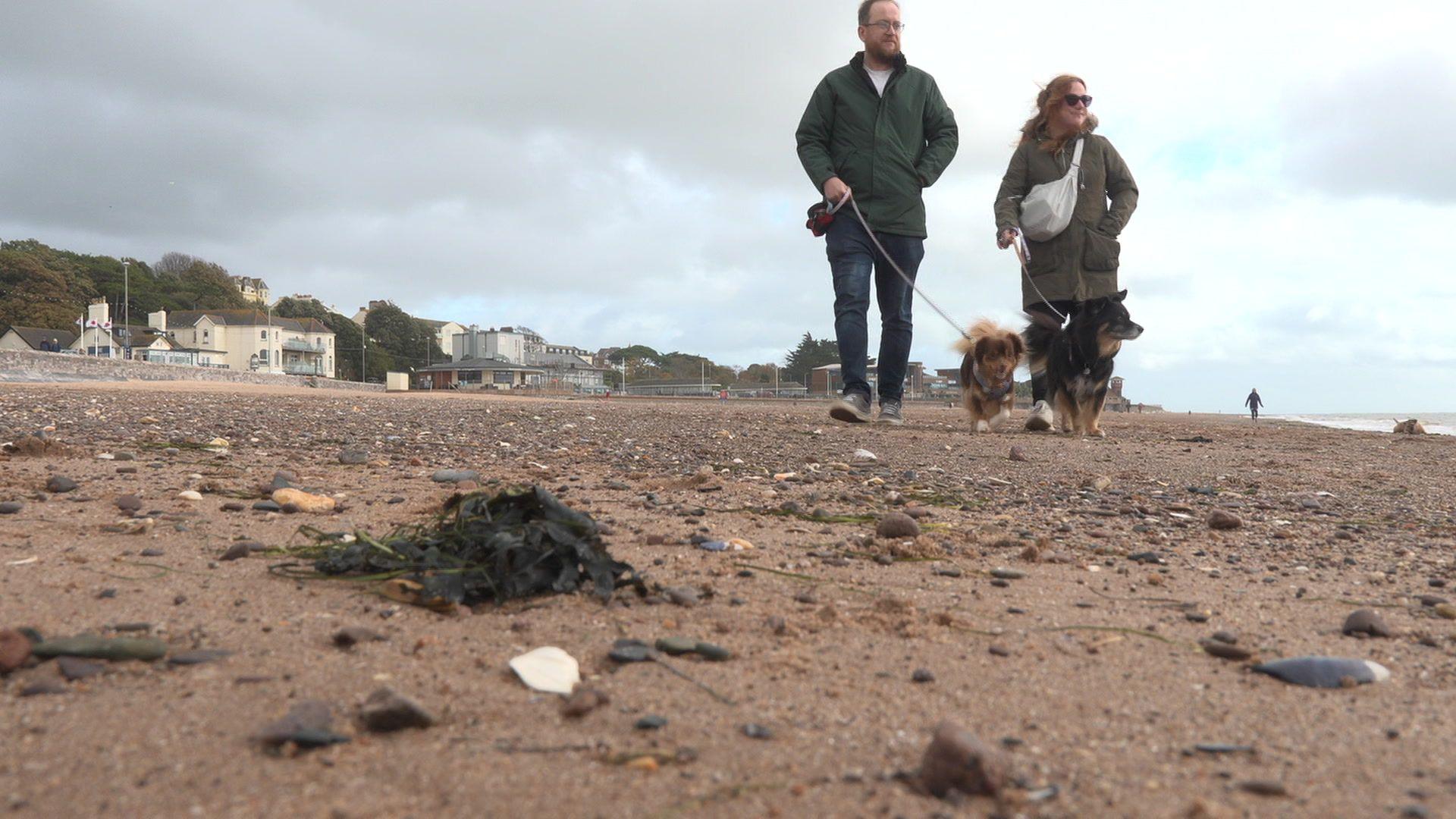 Beth said Ralph are wearing green coats and walking side by side with their dogs on a sandy beach.