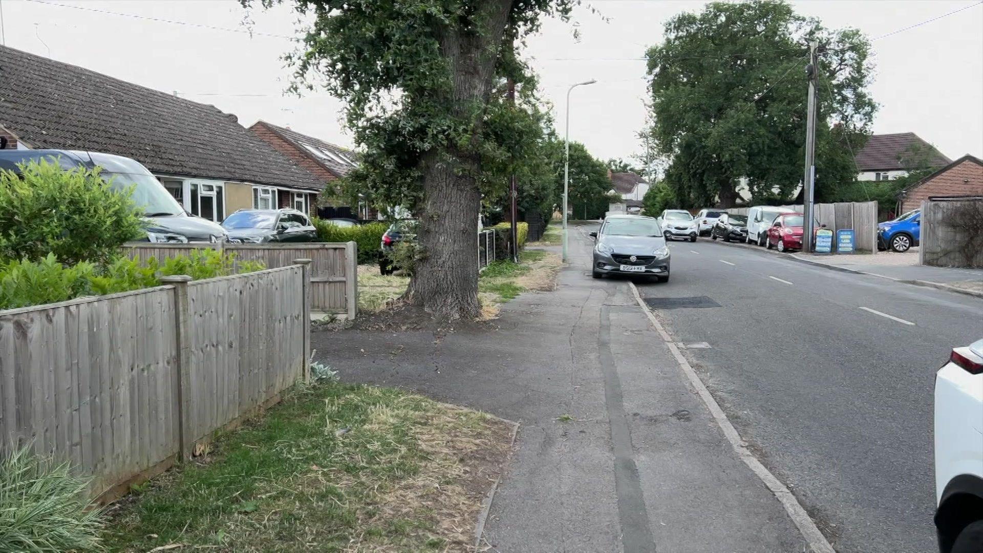 The trunk of the tree which sits on the drive next to the pavement