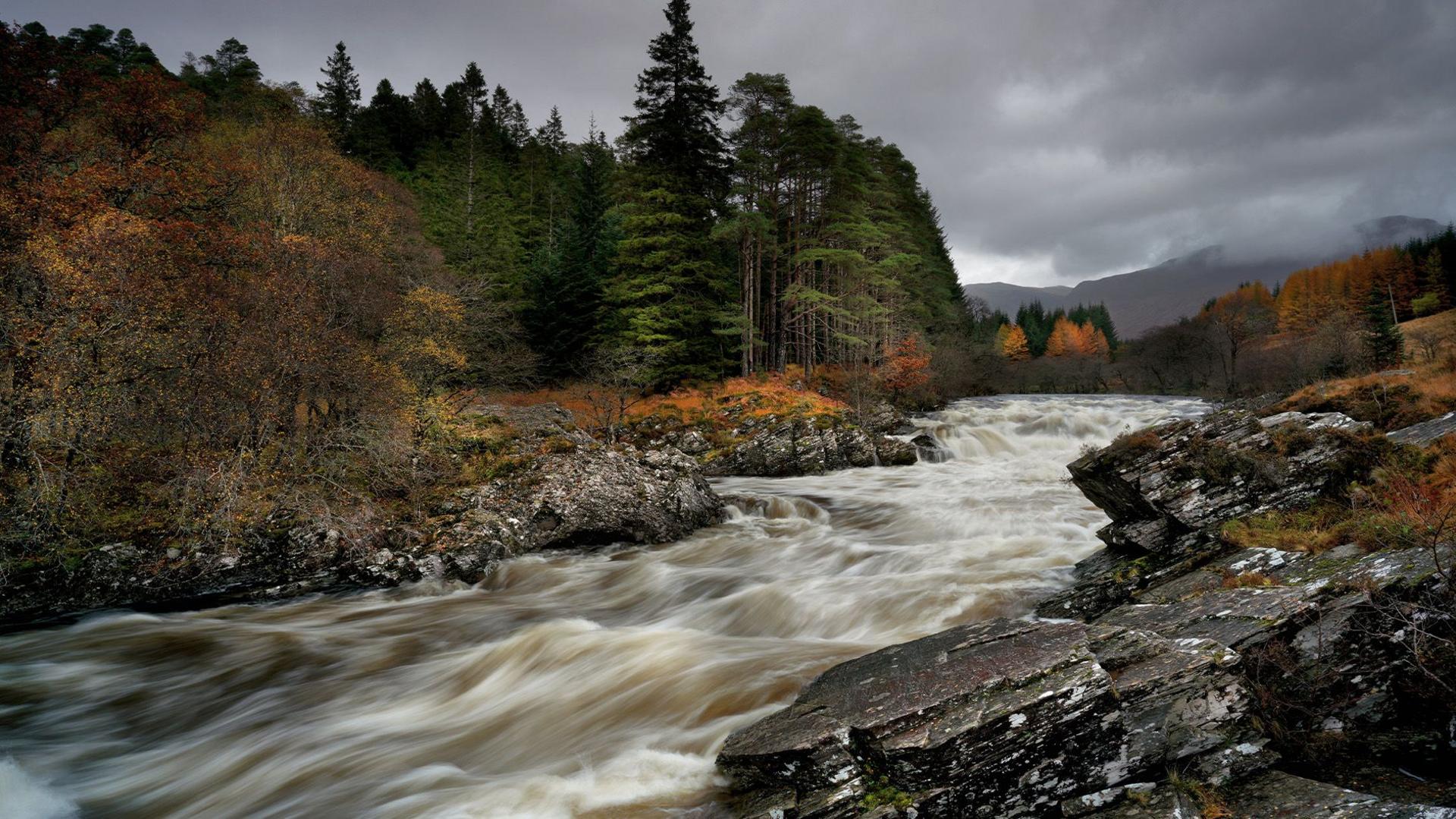 Image of a flowing river, surrounded by trees below a grey cloudy sky.