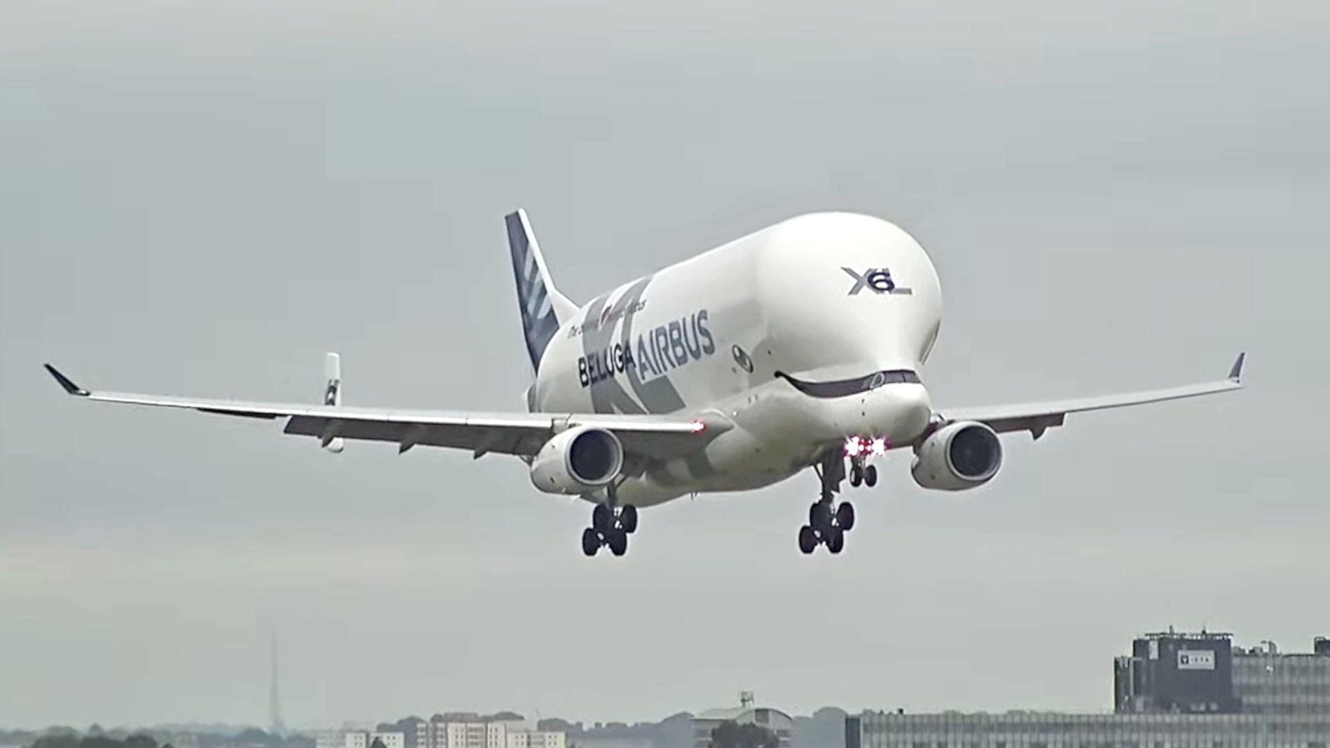 An Airbus Beluga, which shape resembles that of a beluga whale lands at Heathrow airport.