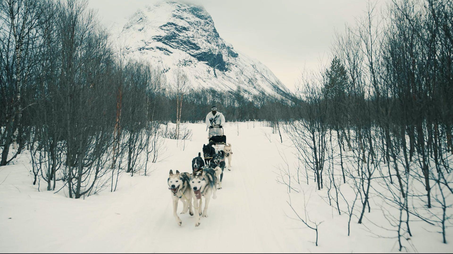 Training with huskies