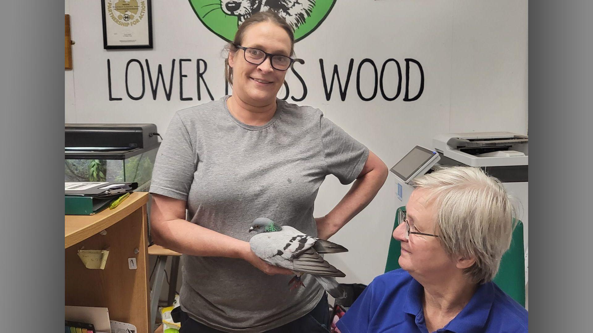 A woman in a grey T-shirt and glasses is standing holding a pigeon in the palm of her hand. She is standing behind the desk of a reception area, with a lady with white hair sat beside her wearing a blue polo and glasses. The seated woman is looking at the bird in her hand. A fish tank and a printer can be seen in the background. On the wall behind them is a large logo of a fox's head and the words 'LOWER MOSS WOOD'.