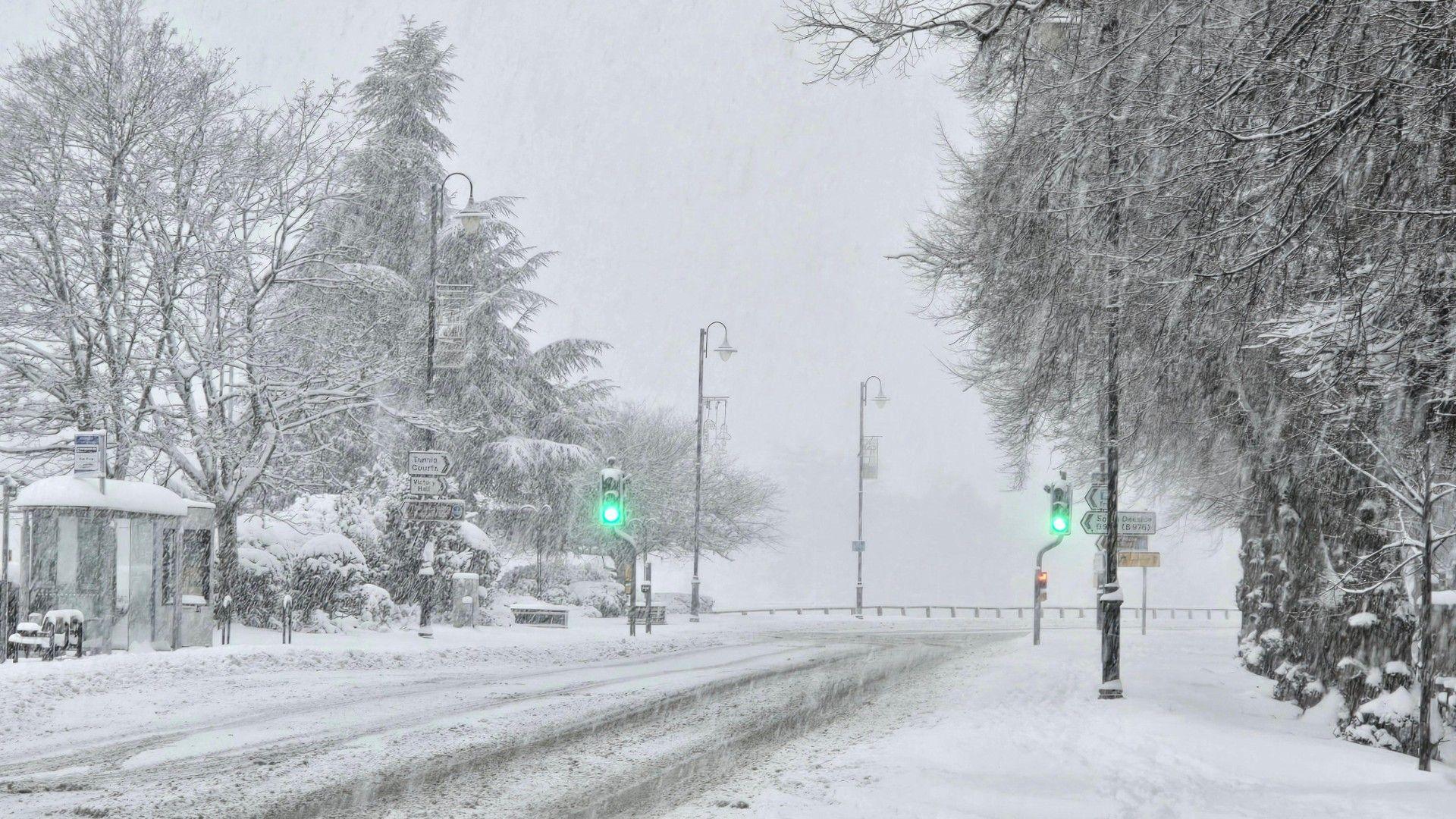 Green traffic lights stand out as heavy snow falls on a tree-lined road - everything coated in white.