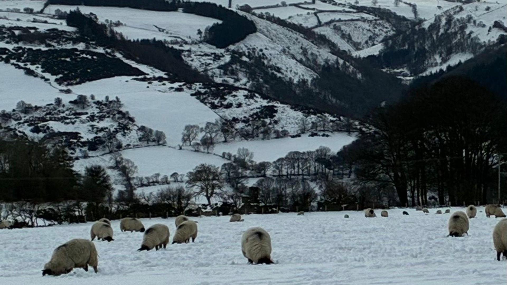 Llangollen, Sir Ddinbych