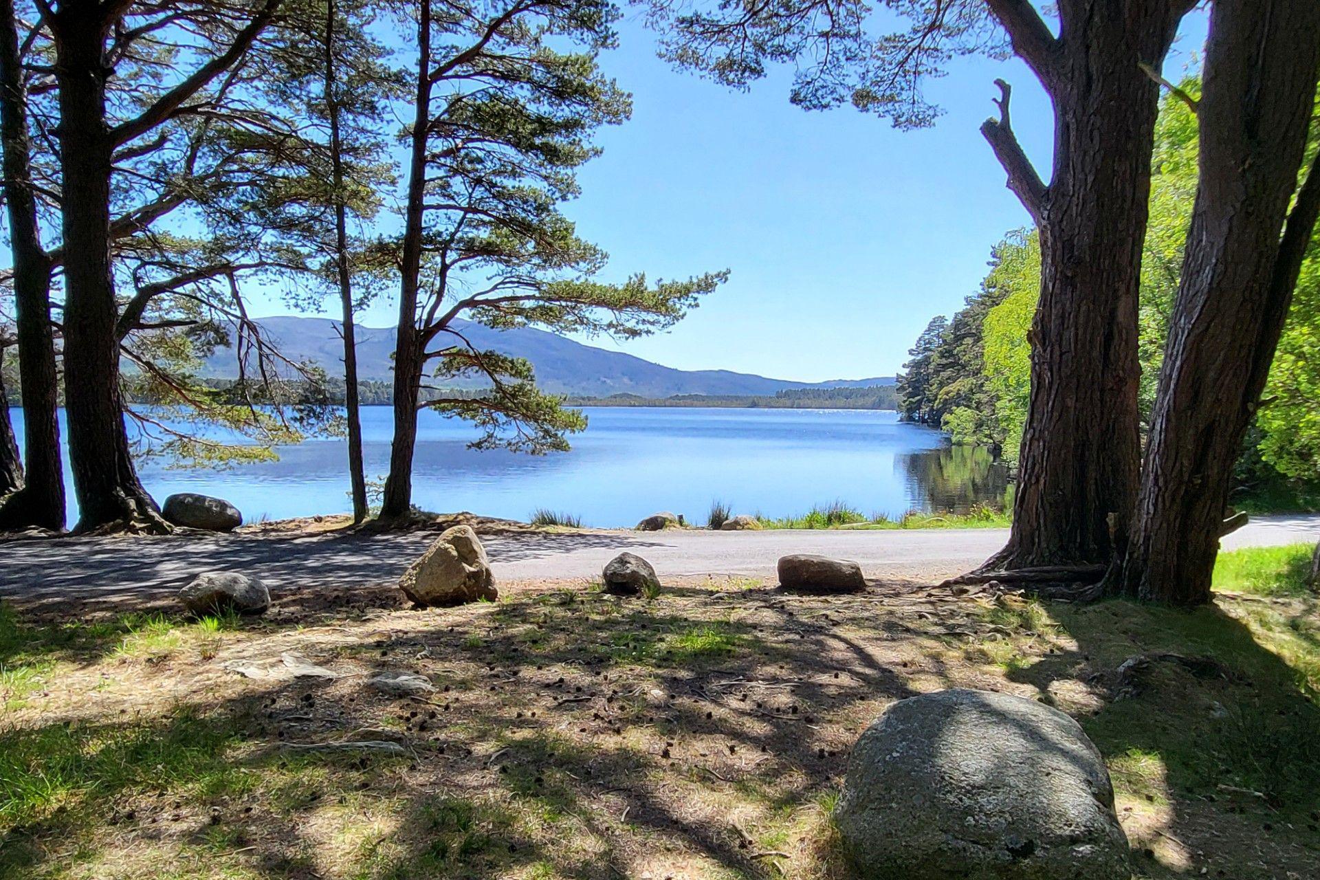 Calm blue water in the background with cool shady trees in the foreground and some boulders dotted about.