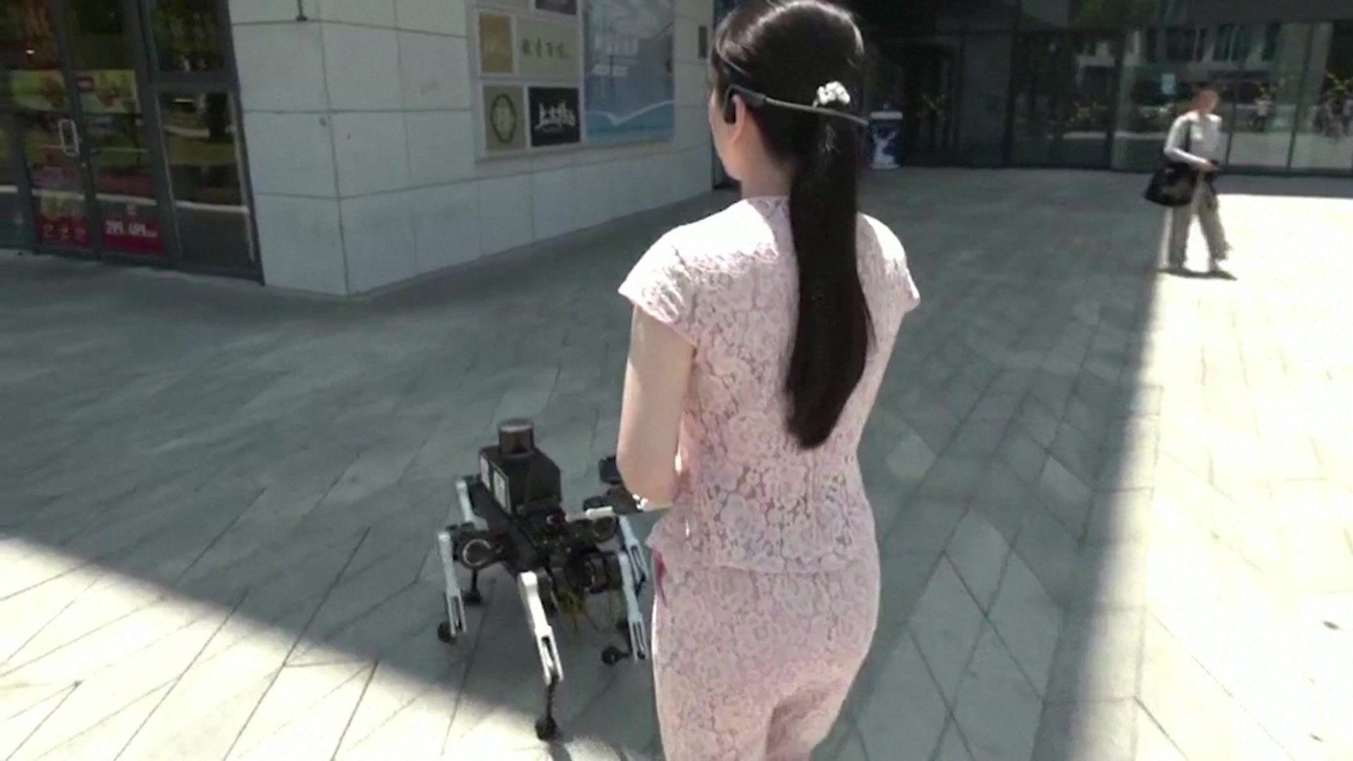 Woman walks robot dog 