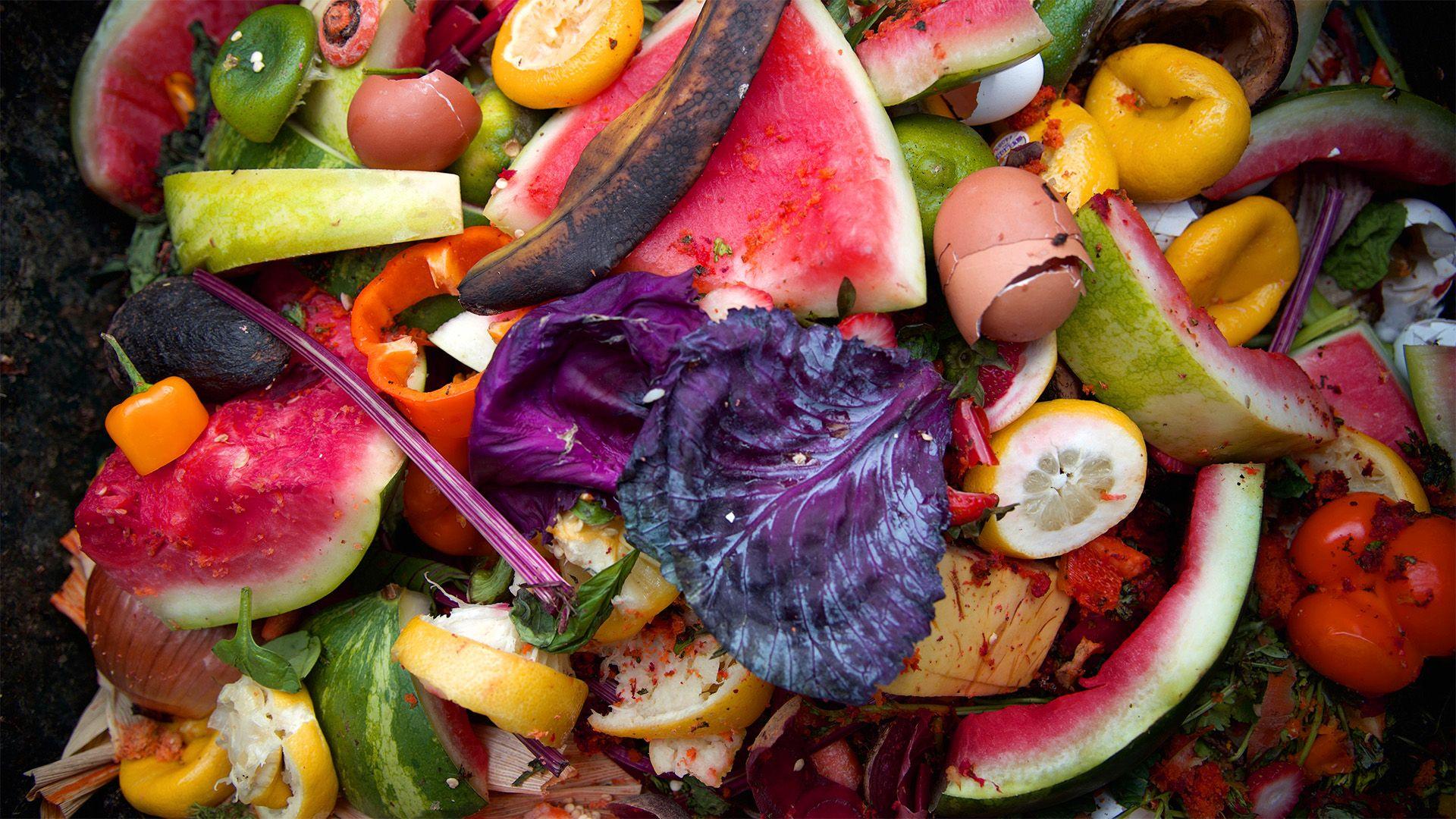 Image of waste food (Shutterstock)