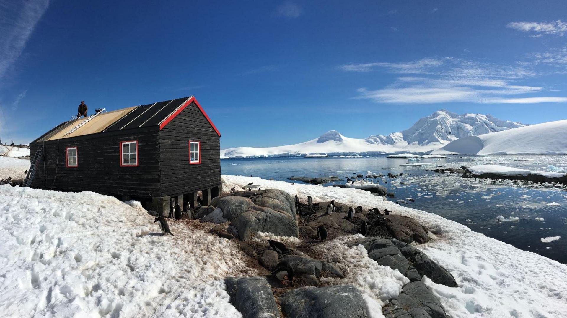 A picture of Port Lockroy. Shown is a wooden hut which is in the middle of snow surrounded by water on snowy mountains. On the rocks next to the hut are several penguins. 