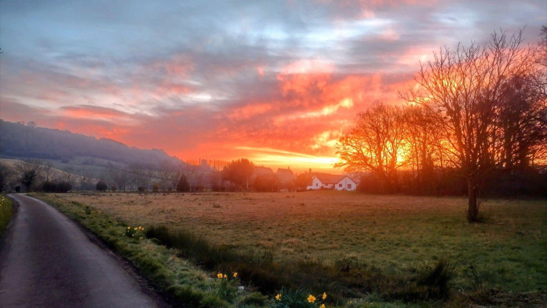 A sunrise with an orange sky and a mist over the rolling hills, with some daffodils in the foreground and a house in the background.