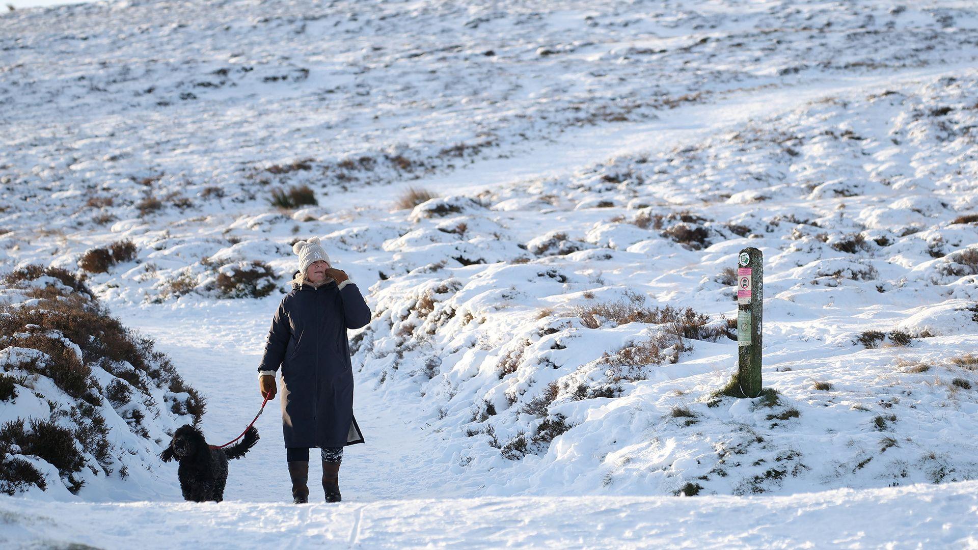 Dynes yn cerdded ei chi