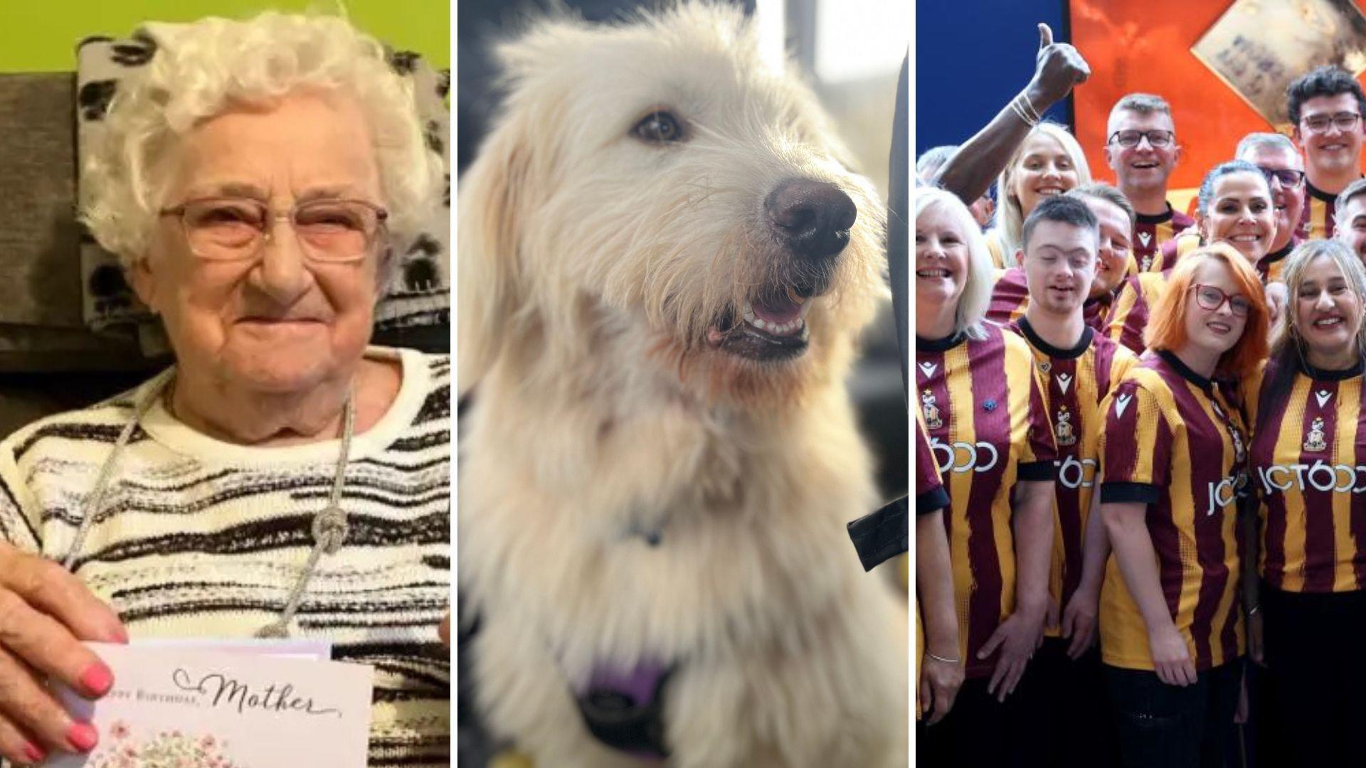 A collage of three photos: The left photo shows an elderly woman seated indoors, wearing a striped sweater and holding a floral greeting card with the word “Mother” printed on it. The centre photo features a fluffy dog with light-coloured fur, wearing a harness. The right photo depicts a group of Bradford City fans standing together, all wearing matching maroon and yellow.
