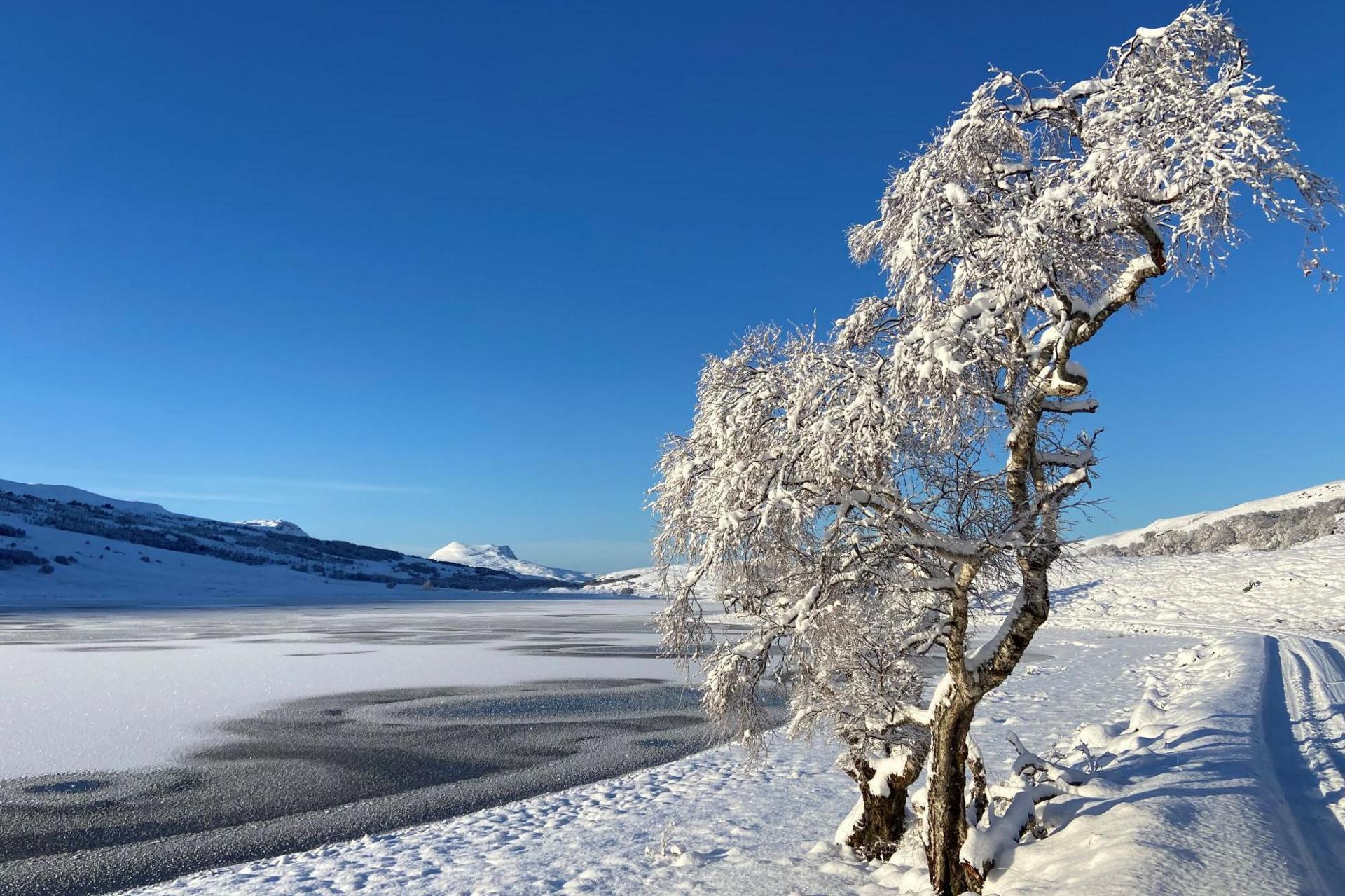 The loch is frozen over. There is a snow-capped mountain in the distance. On the shores of the loch are two trees that are coated in ice. The sky is bright blue.