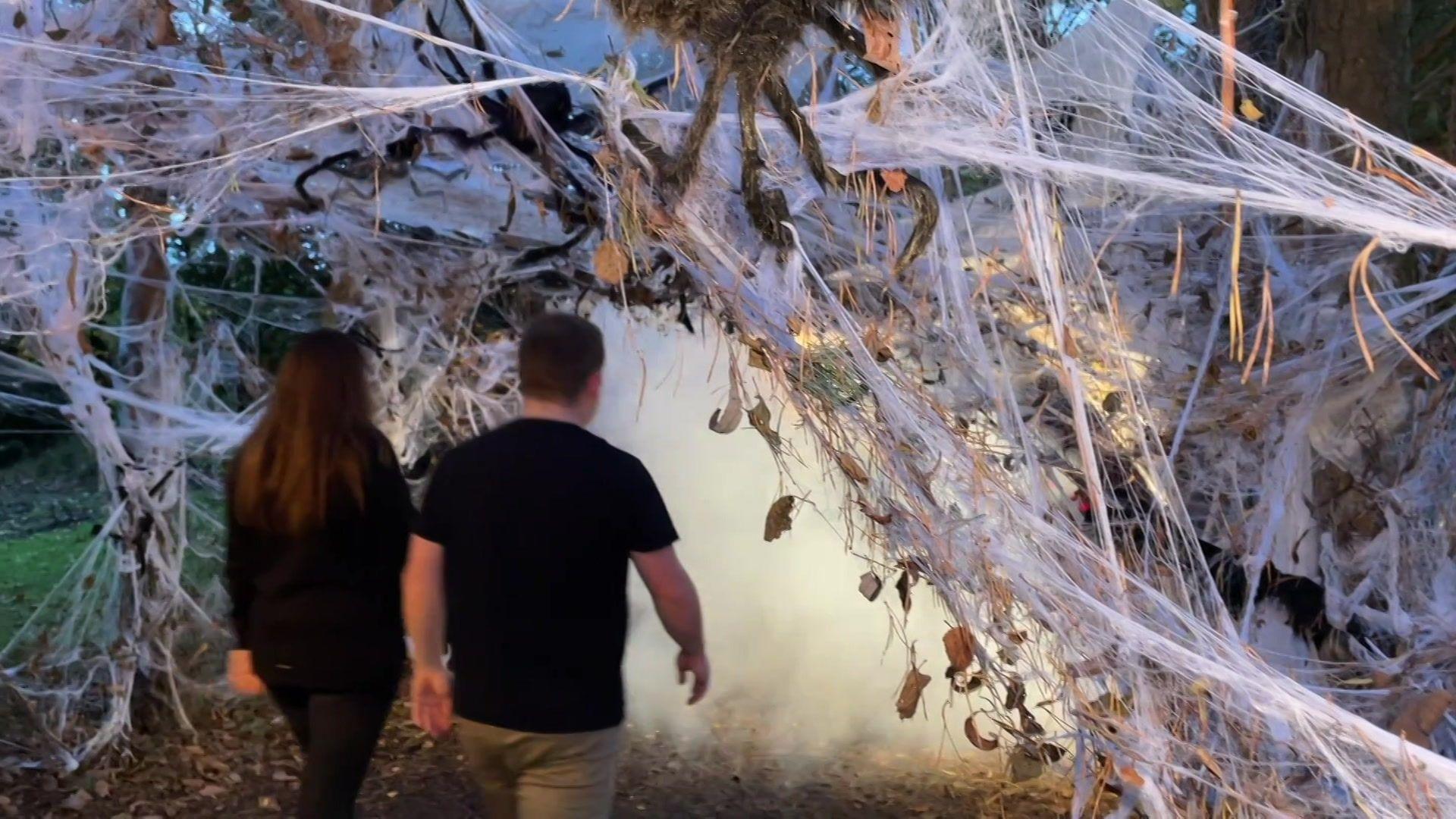 Two people entering wood covered in Halloween cobwebs