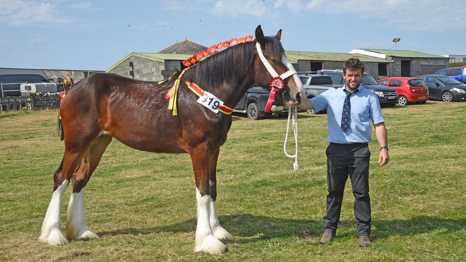 Rhys Eifion Griffith o Benisarwaun a gafodd gyntaf yn adran y ceffylau gwedd blwydd
