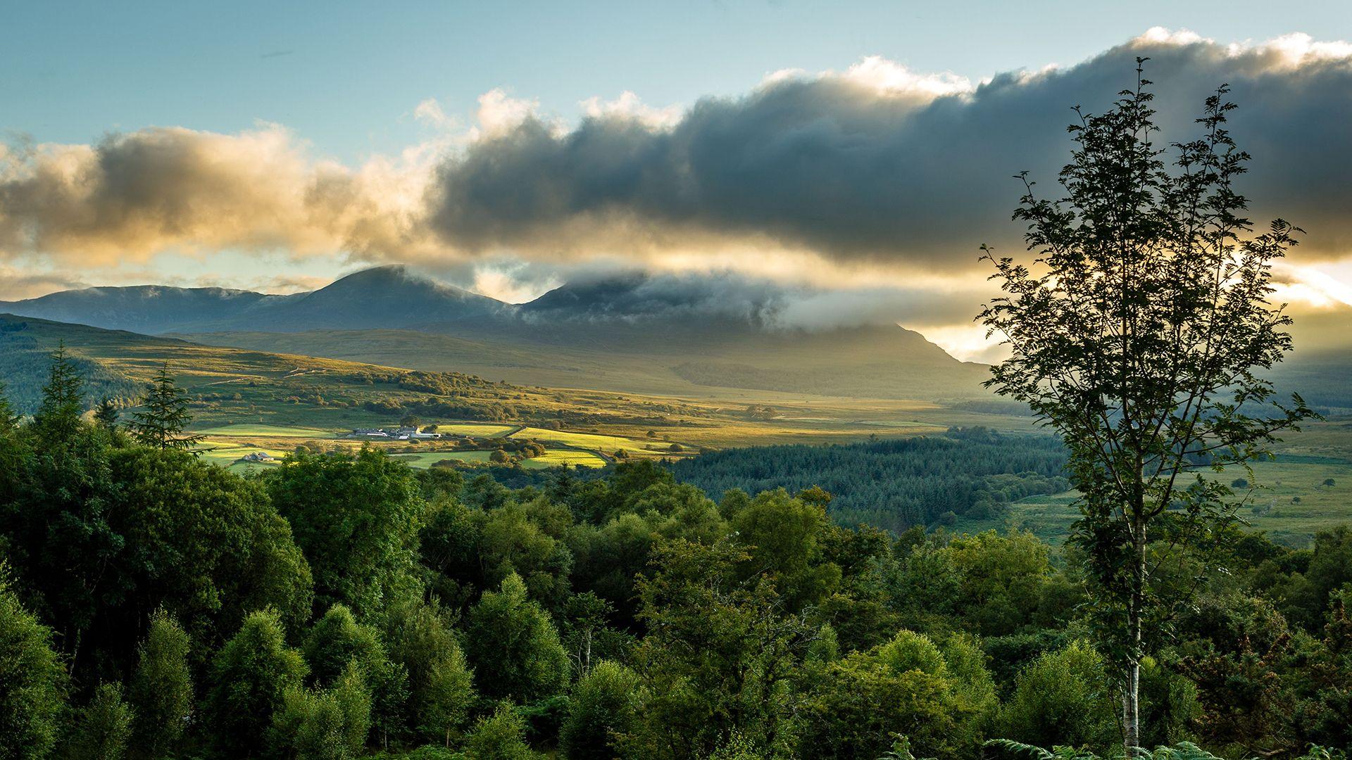 Ffridd Bryn Coch