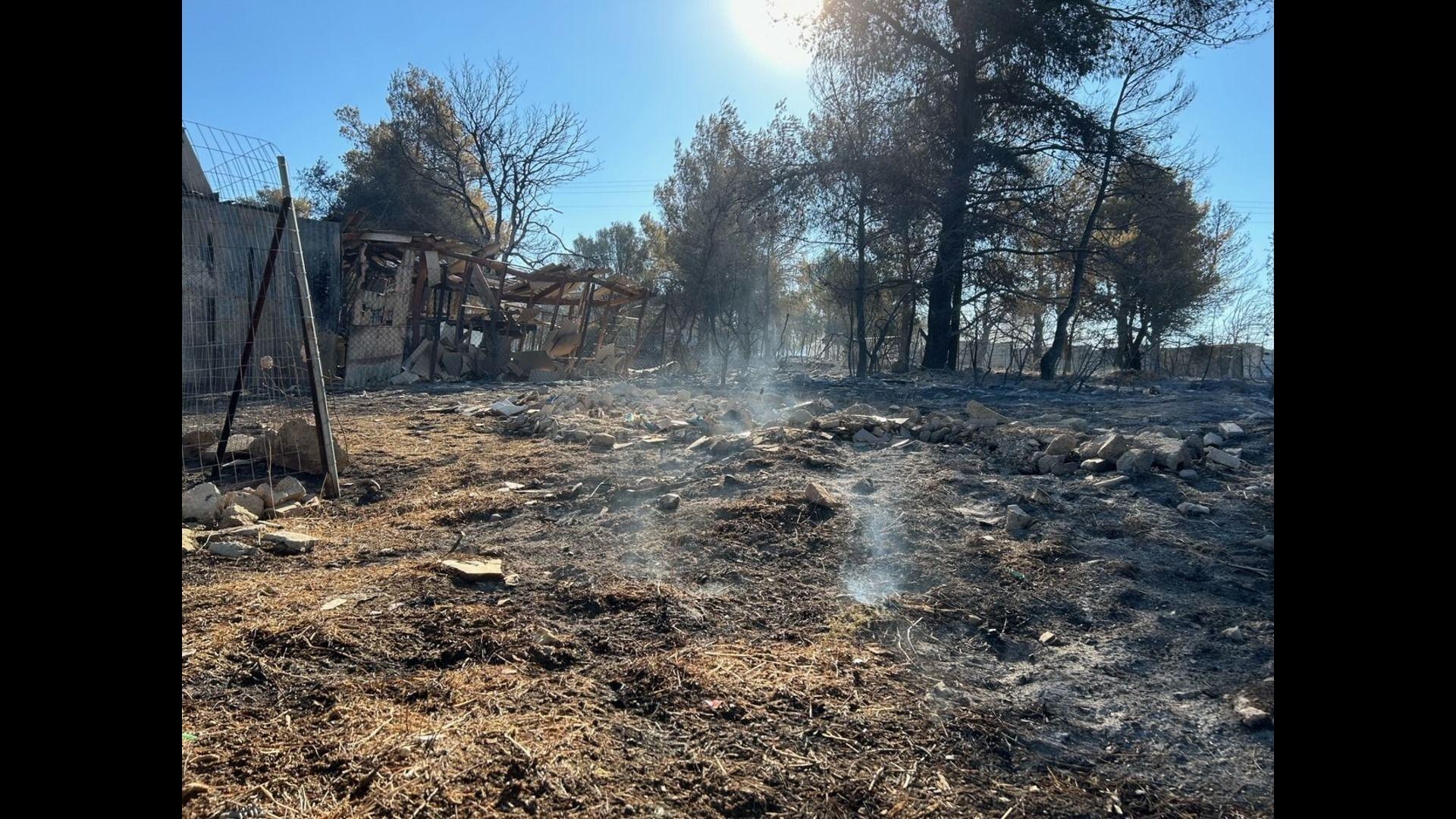 Smoke curls upwards from a burning field close to Athens