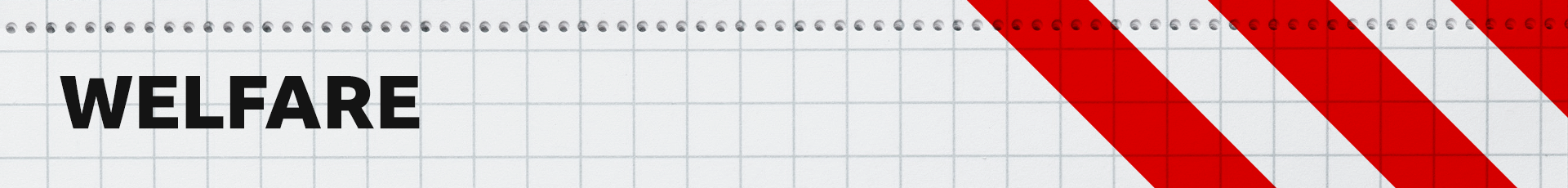 A designed red and white banner image with the title 'welfare'.