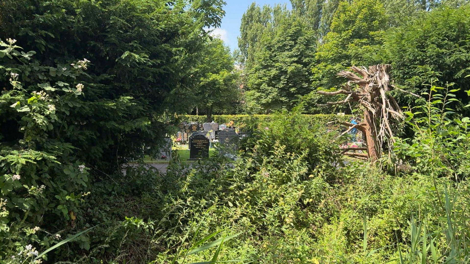 In the foreground of the photo there are lots of bushes and trees. Through the trees, there are a number of black and grey gravestones, which have flowers and different tributes on them.