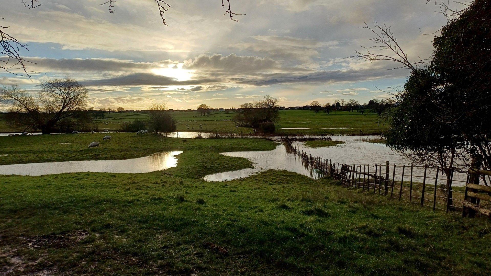 Rural scene with partly sunny skies and water-logged fields