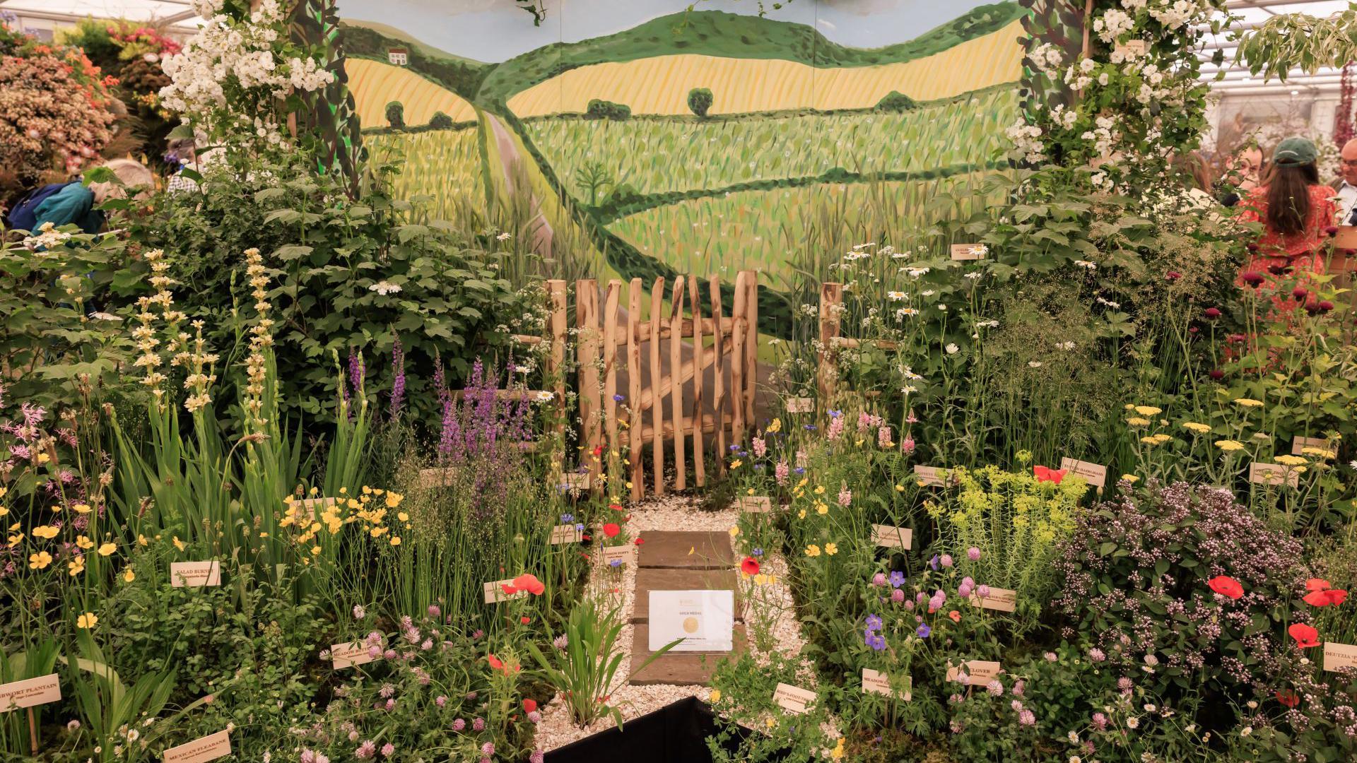 A pretty display of wildflowers at a show.