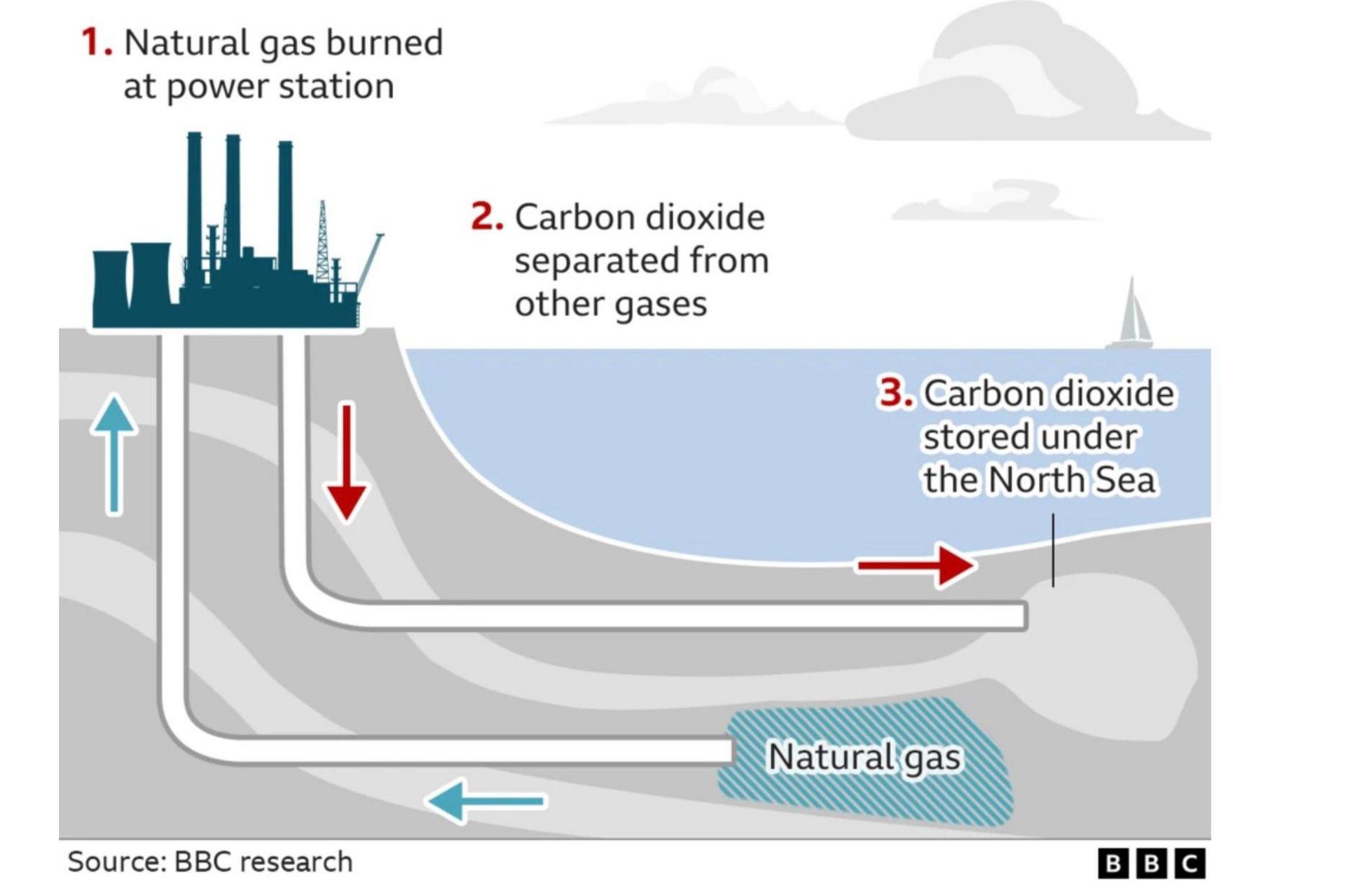 A graphic showing how carbon capture technology works. It shows the silhouette of a power station in the top left of the image with pipes leading under the sea. Blue arrows show how natural gas goes up one pipe to the power station. Red arrows show how carbon dioxide is transferred from the power station to a cavern under the sea. Captions read: 1) Natural gas burned at power station; 2) Carbon dioxide separated from other gases; 3) Carbon dioxide stored under the North Sea.