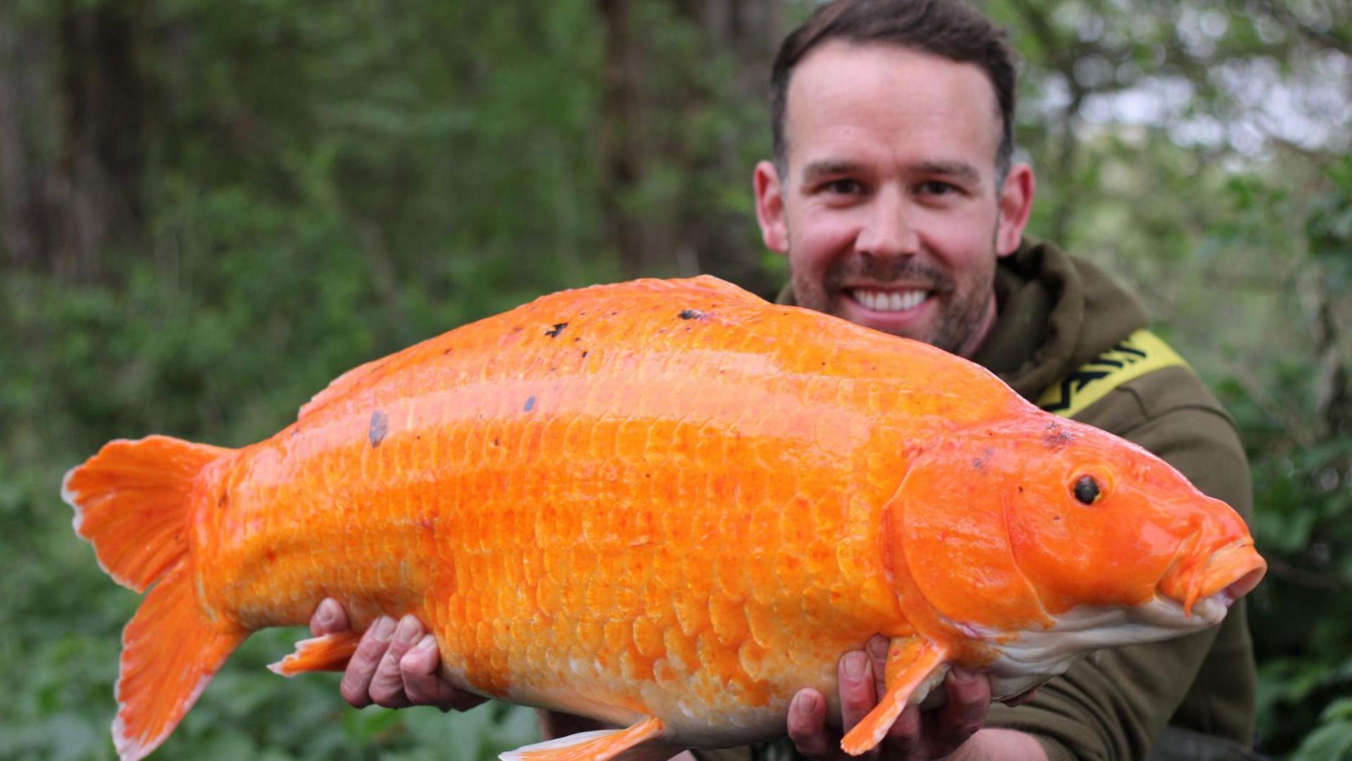Nathan Riggey holds a large orange coloured fish in his hands out in front of his body. He is smiling at the camera. He wears a green coloured hoodie.