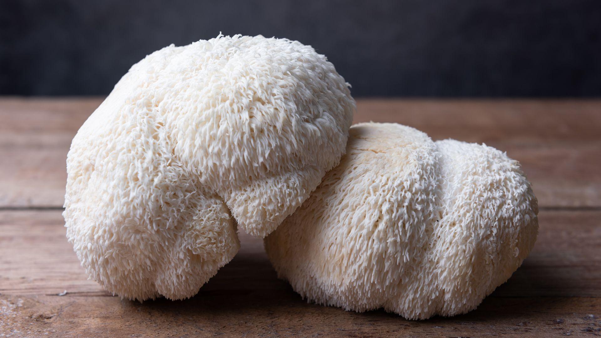 lion's mane mushrooms