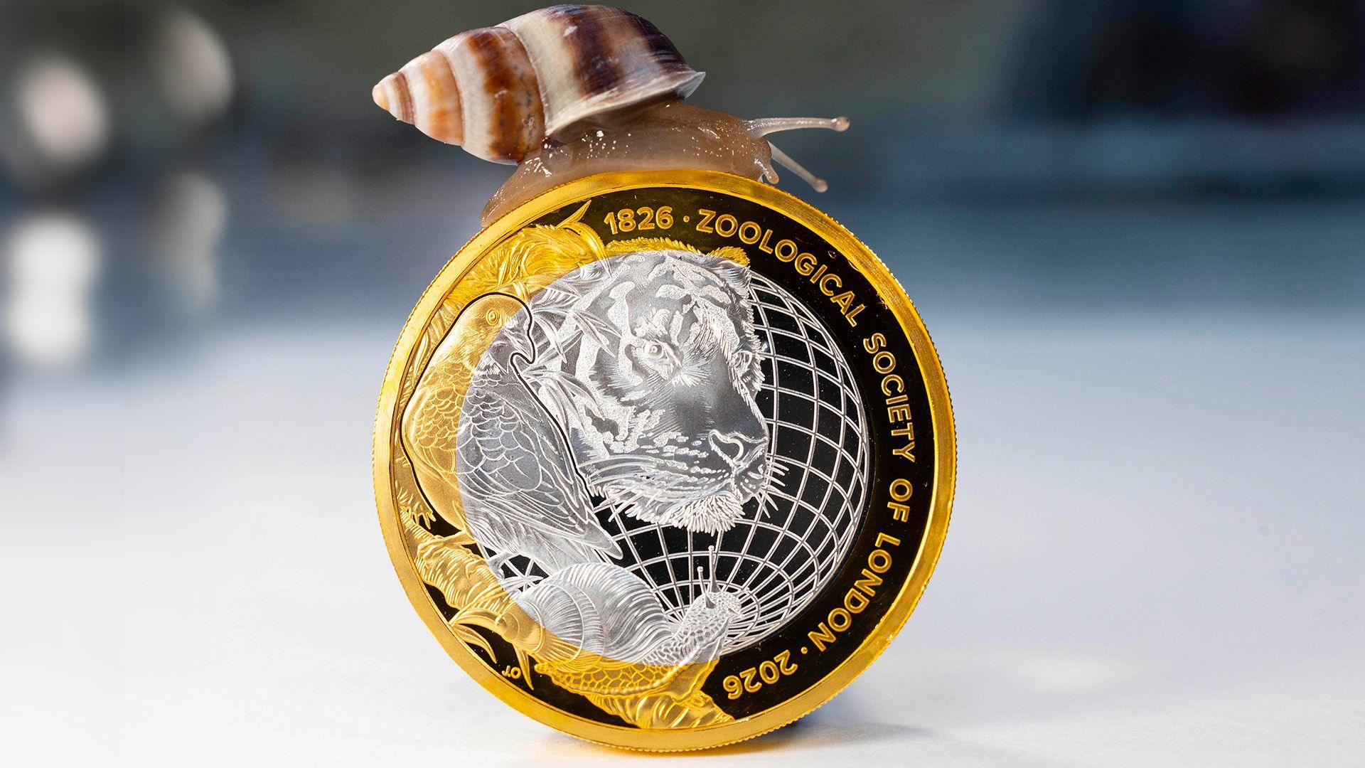 A snail sits on top of the coin 