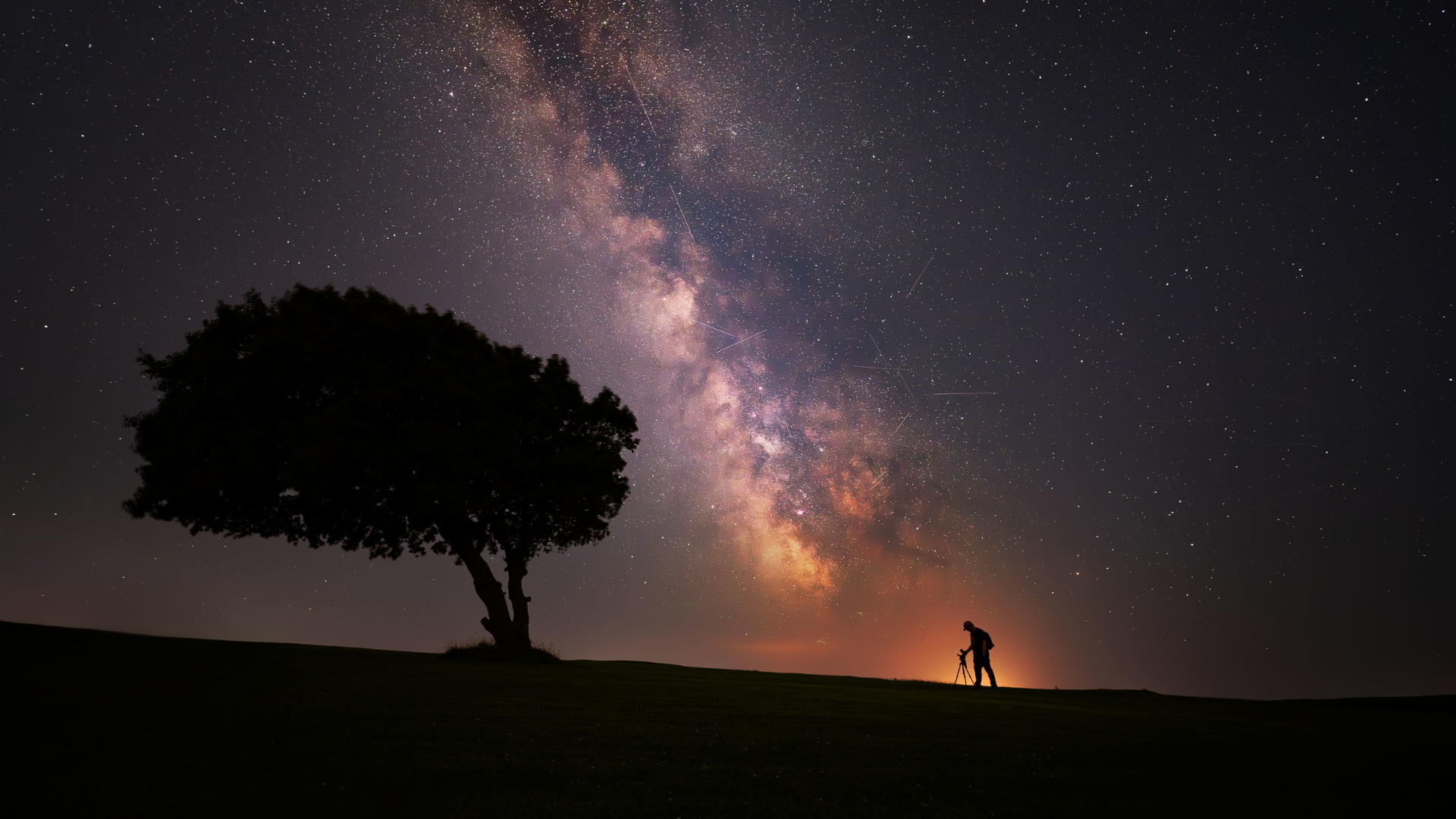 silhouettes of a man and a tree against a starry night sky