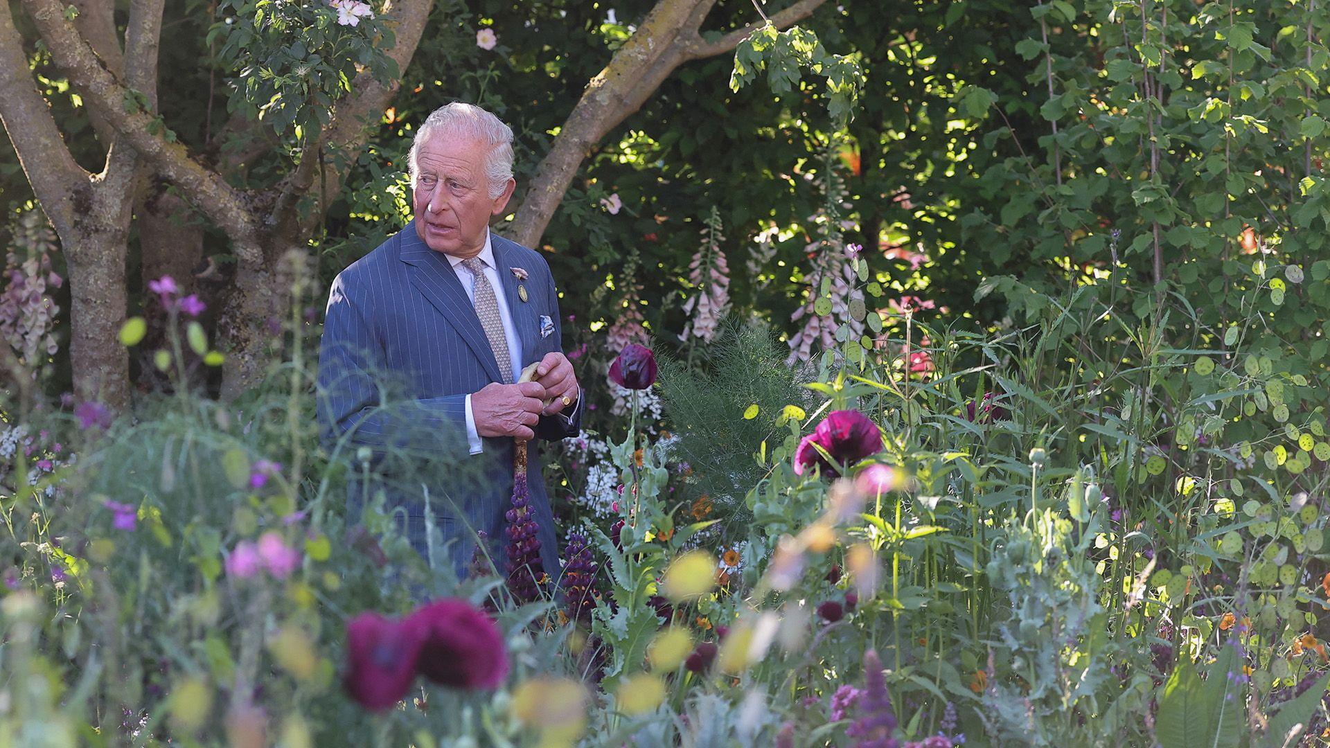 King Charles walks through a garden at the RHS 2025 Chelsea Flower Show