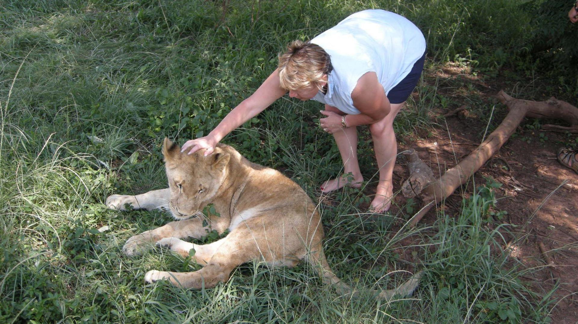 Woman and a lion