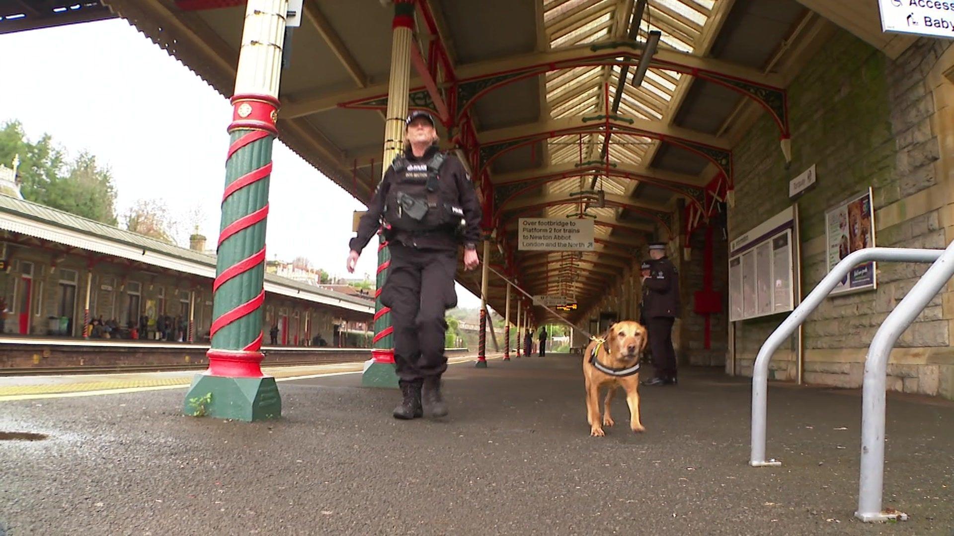 Female police officer walking through Torquay train station with a golden labrador drugs detection dog walking alongside her on a lead