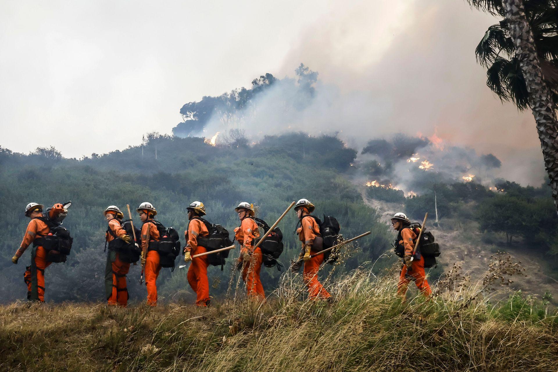 A group of firefighters walk through a clearing in woods with a burning hill in the background, in the Pacific Palisades.