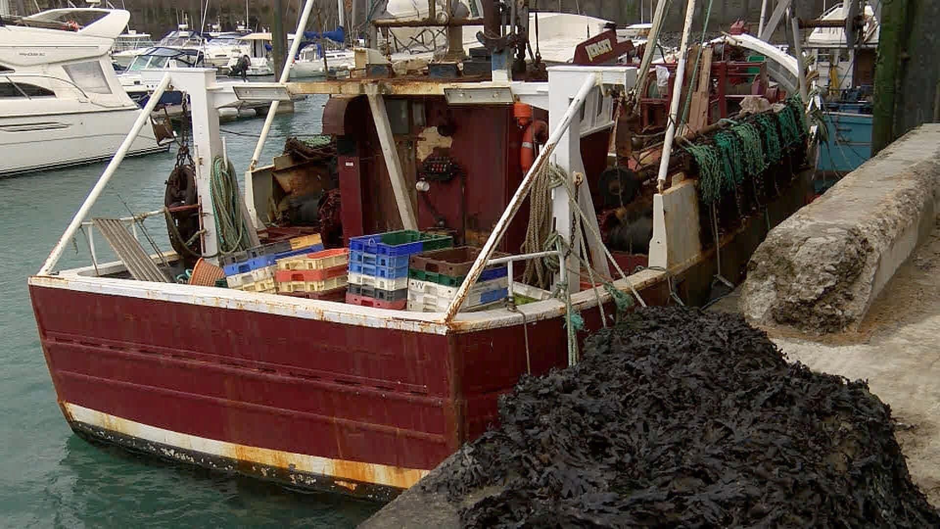 A maroon fishing boat in a harbour. There are plastic crates in the back of the boat and seaweed on the wharf.