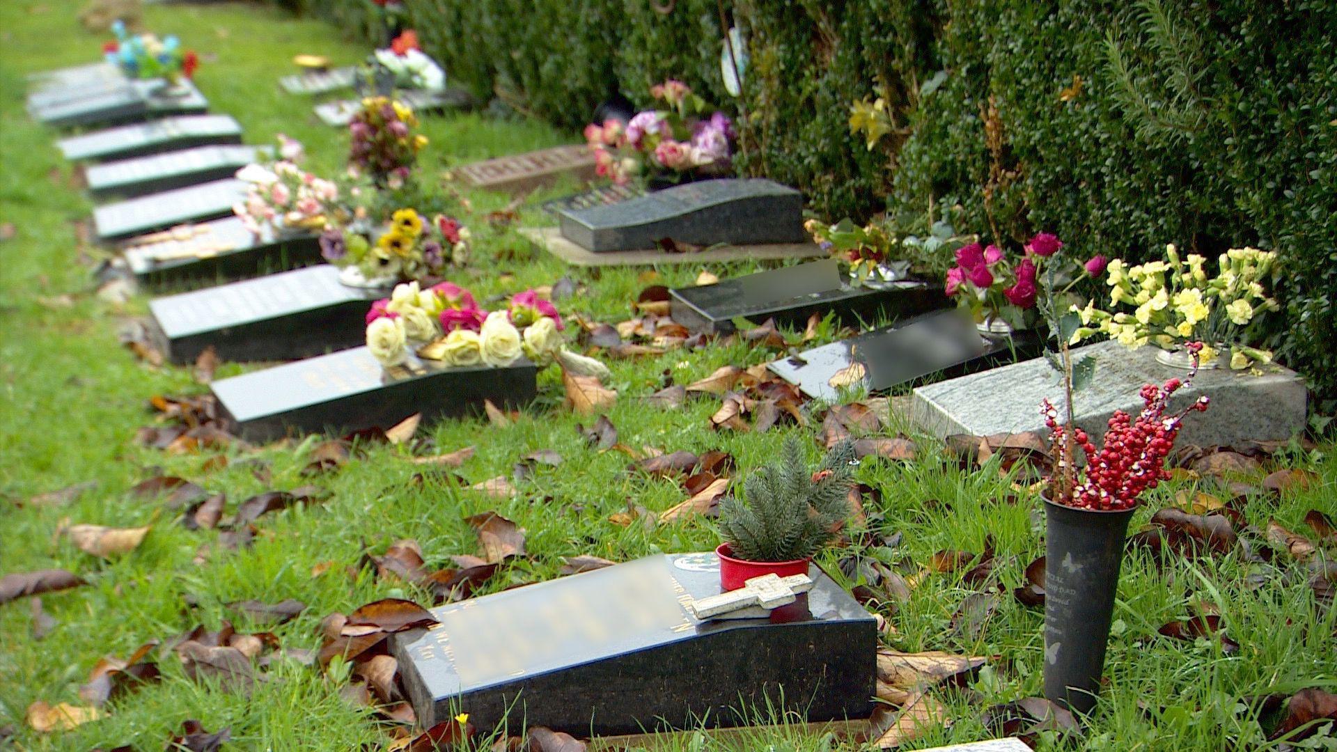 Pictures of the graves at Ford Park cemetery. Grass can be seen with gravestones placed throughout. Flowers surround the graves.