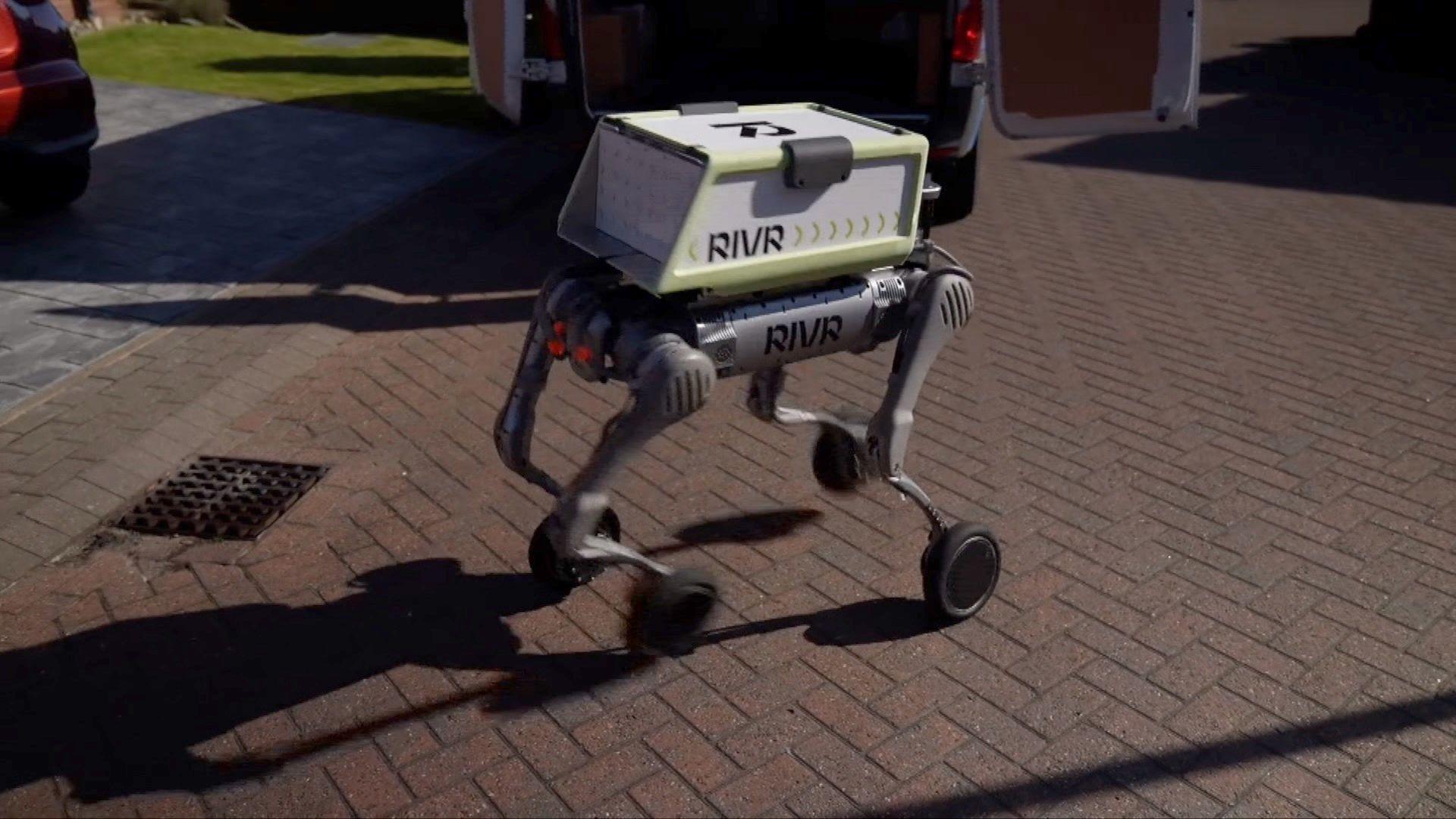 A delivery robot with four legs