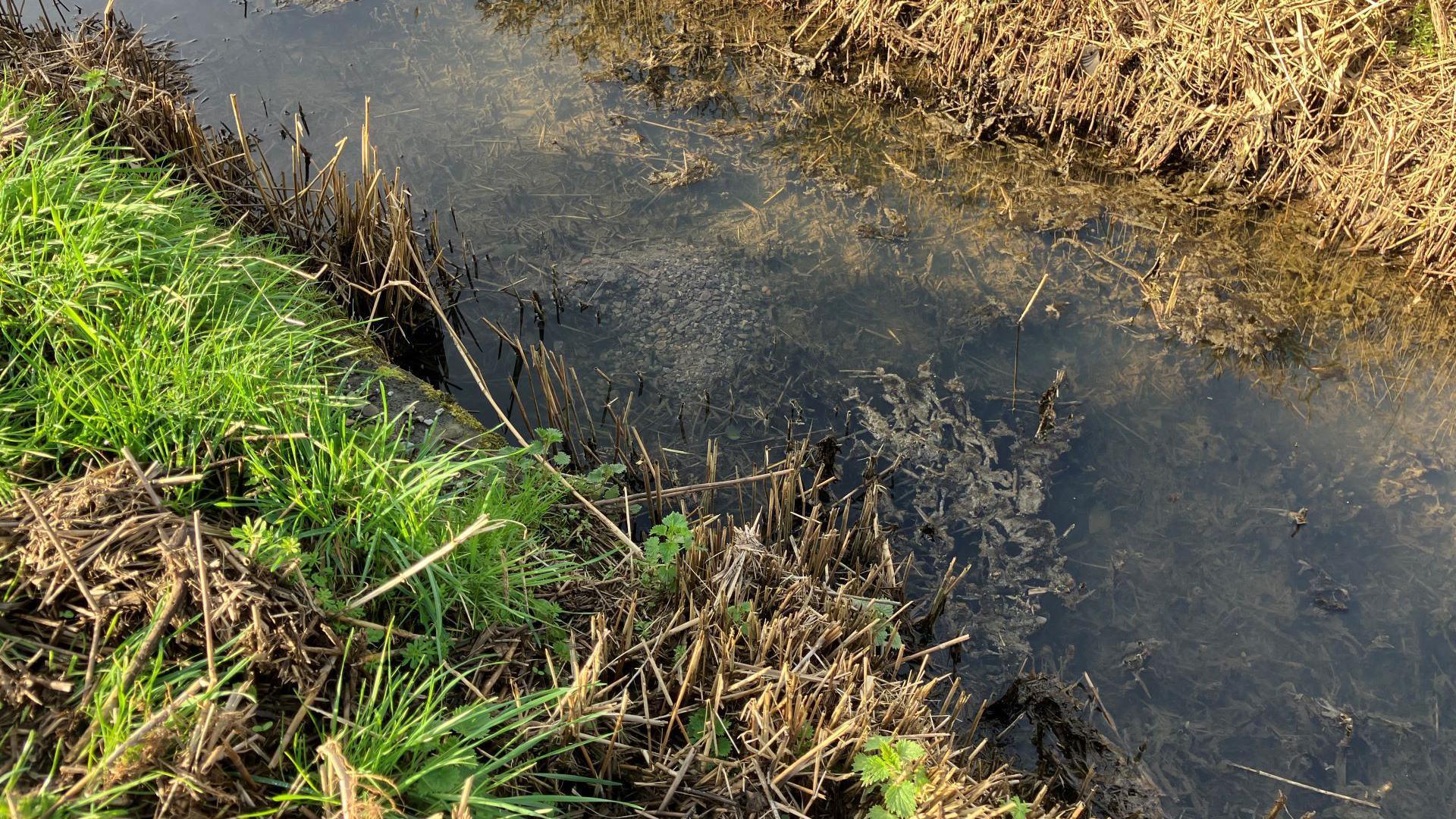 The culvert out point on a ditch over the road