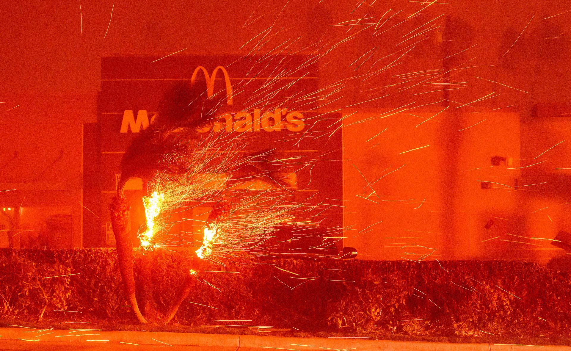 A McDonald's restaurant is seen behind a burning palm tree bent by high winds in Pasadena