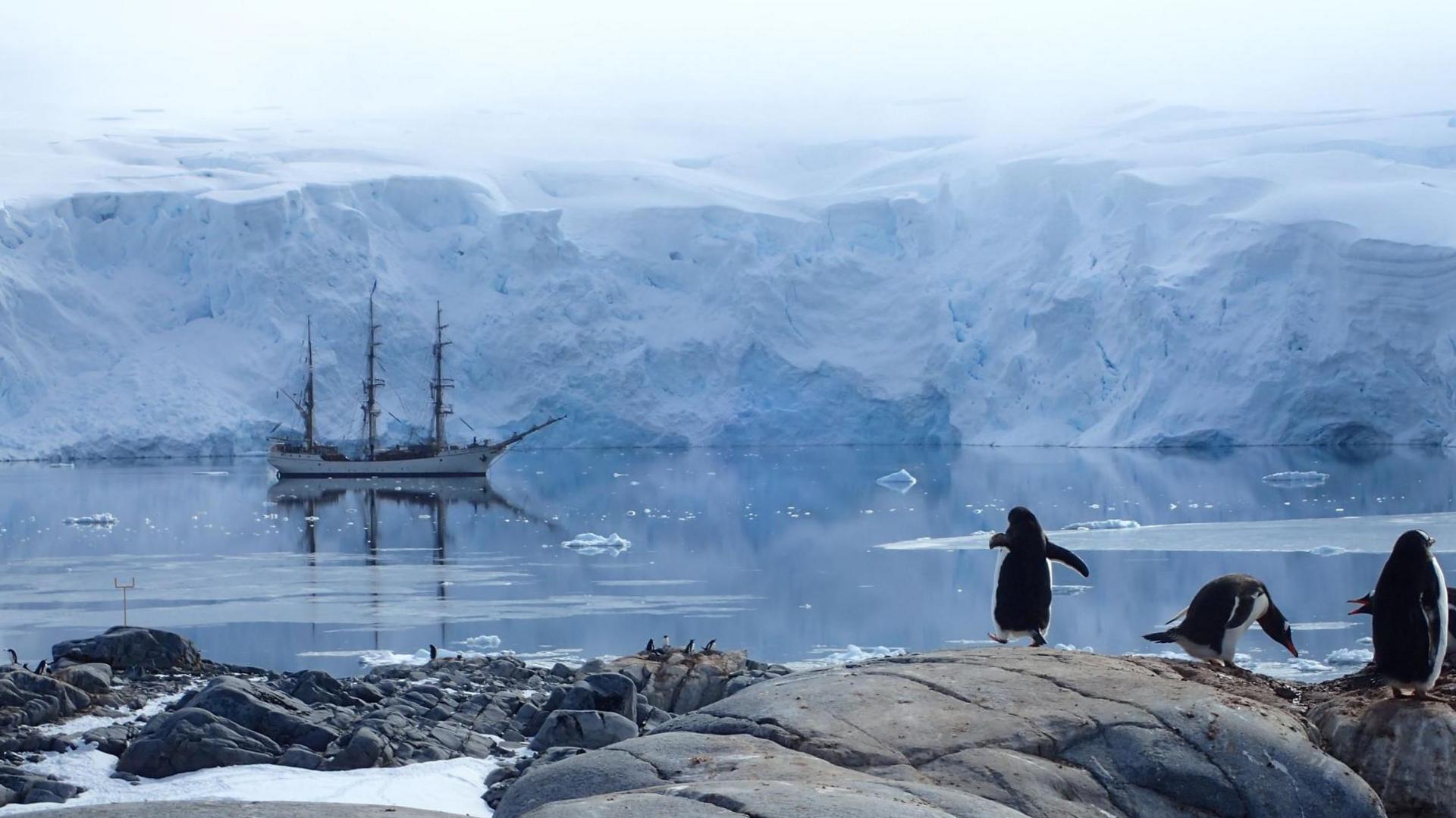 A picture of Port Lockroy which shows three penguins on a rock. In the background there is a ship floating on the water with snowy mountains behind. 