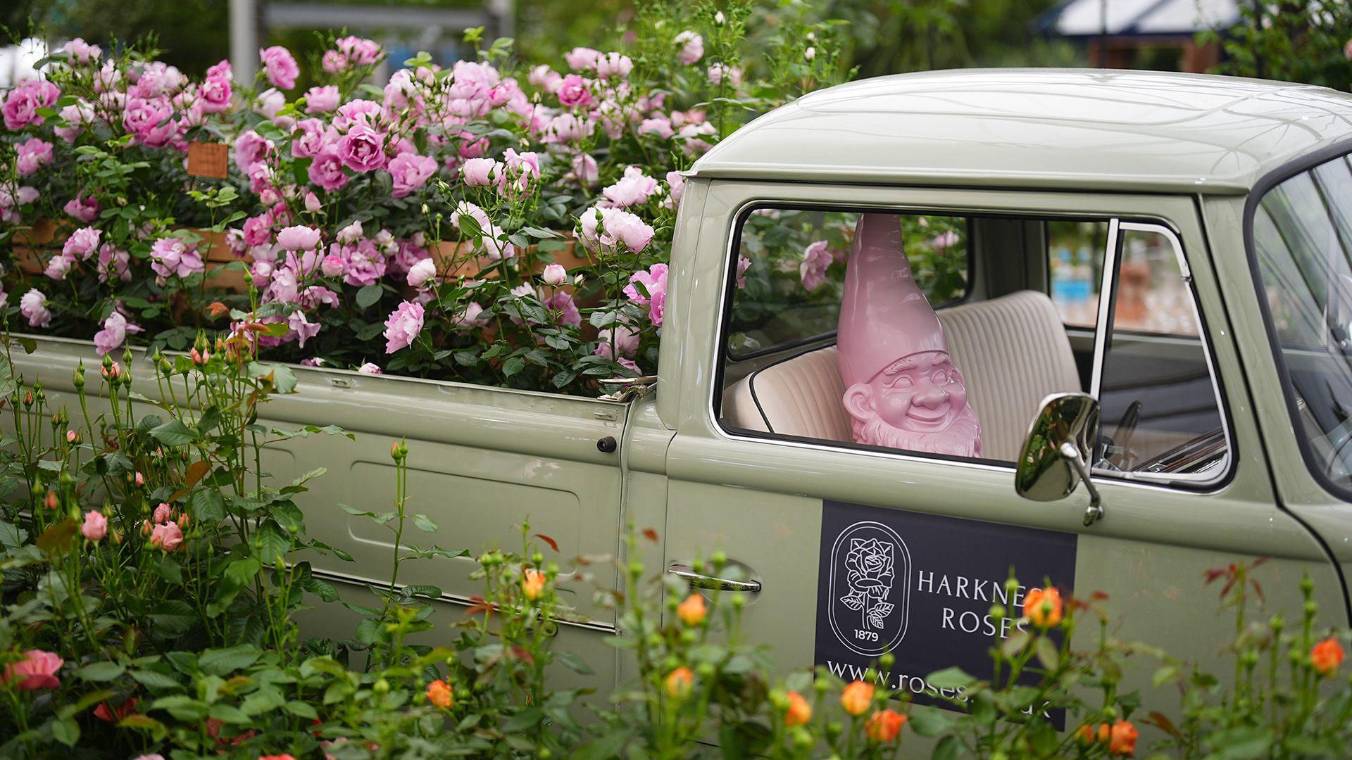 A pink gnome sits in the front seat of a sage coloured car with a trailer full of pink roses. There are orange roses surrounding it.