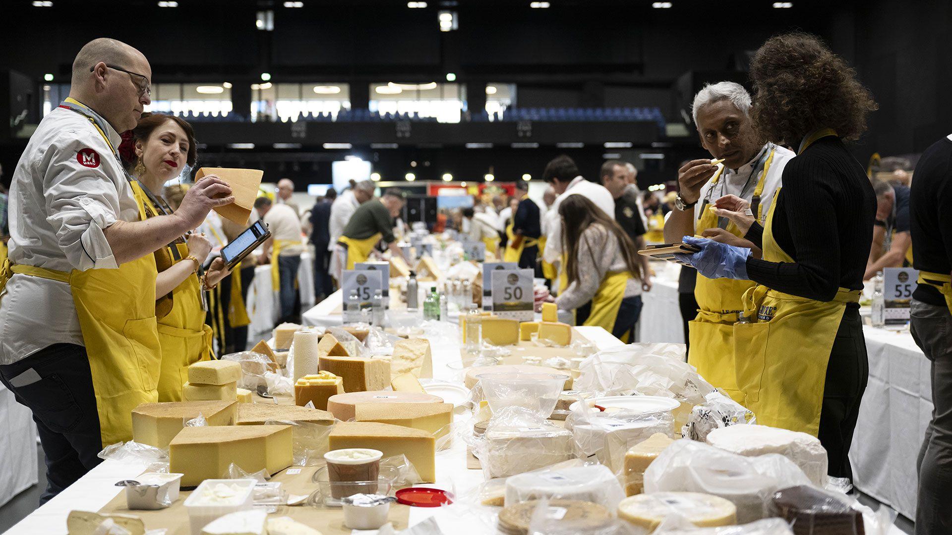 Judges in yellow aprons compare lots of different cheeses in a hallway, with tables full of cheese